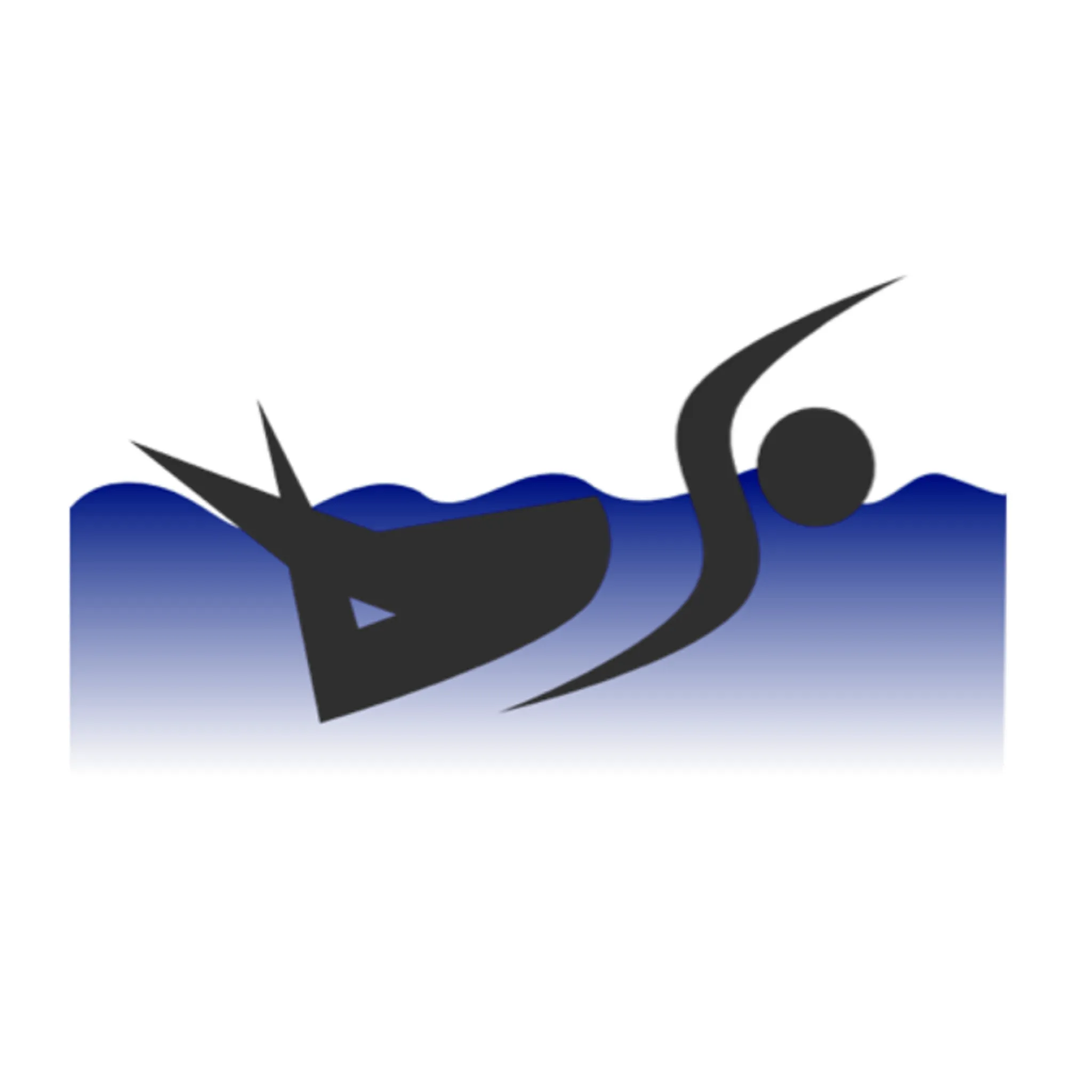 Rutherglen Swimming Club Inc