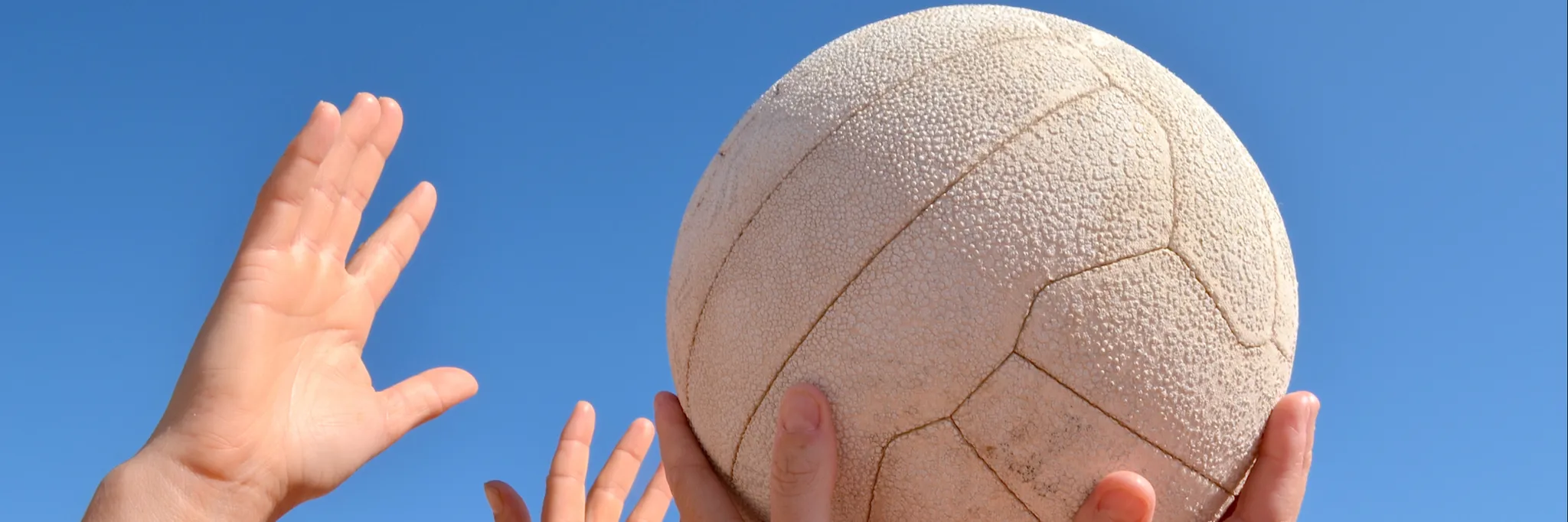 Chatswood Rangers Netball Club