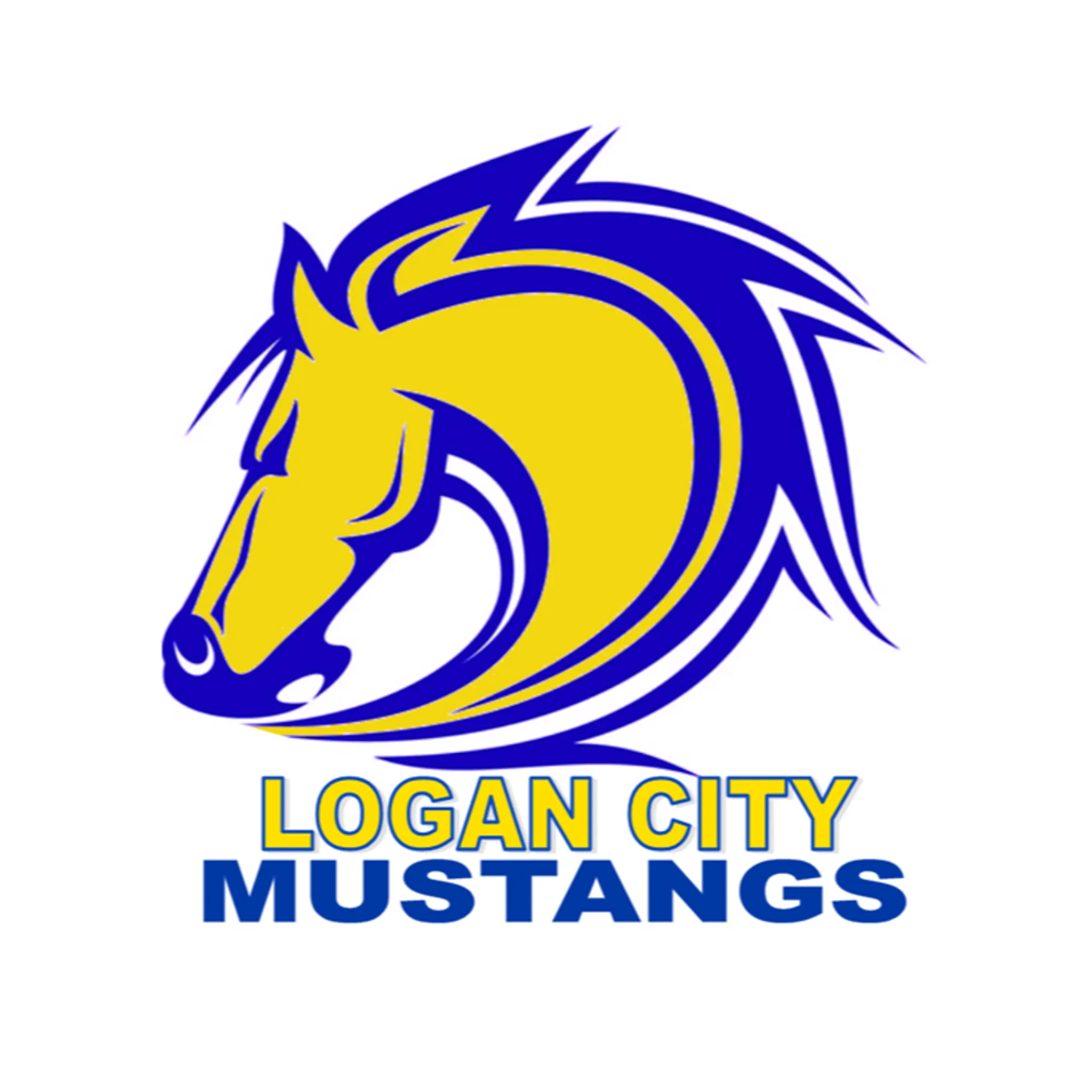 Logan City Softball Association Inc