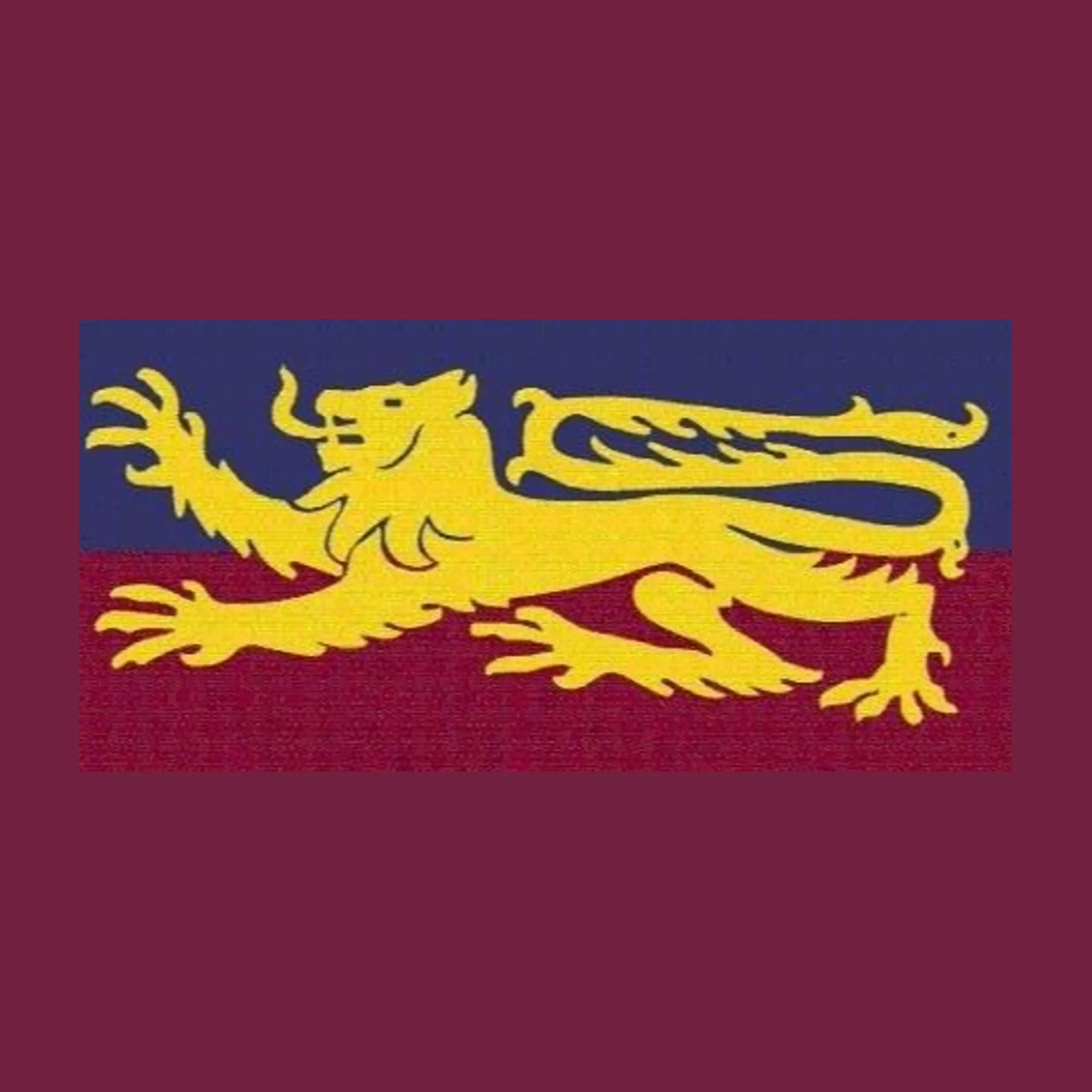 South Yarra Football Netball Club