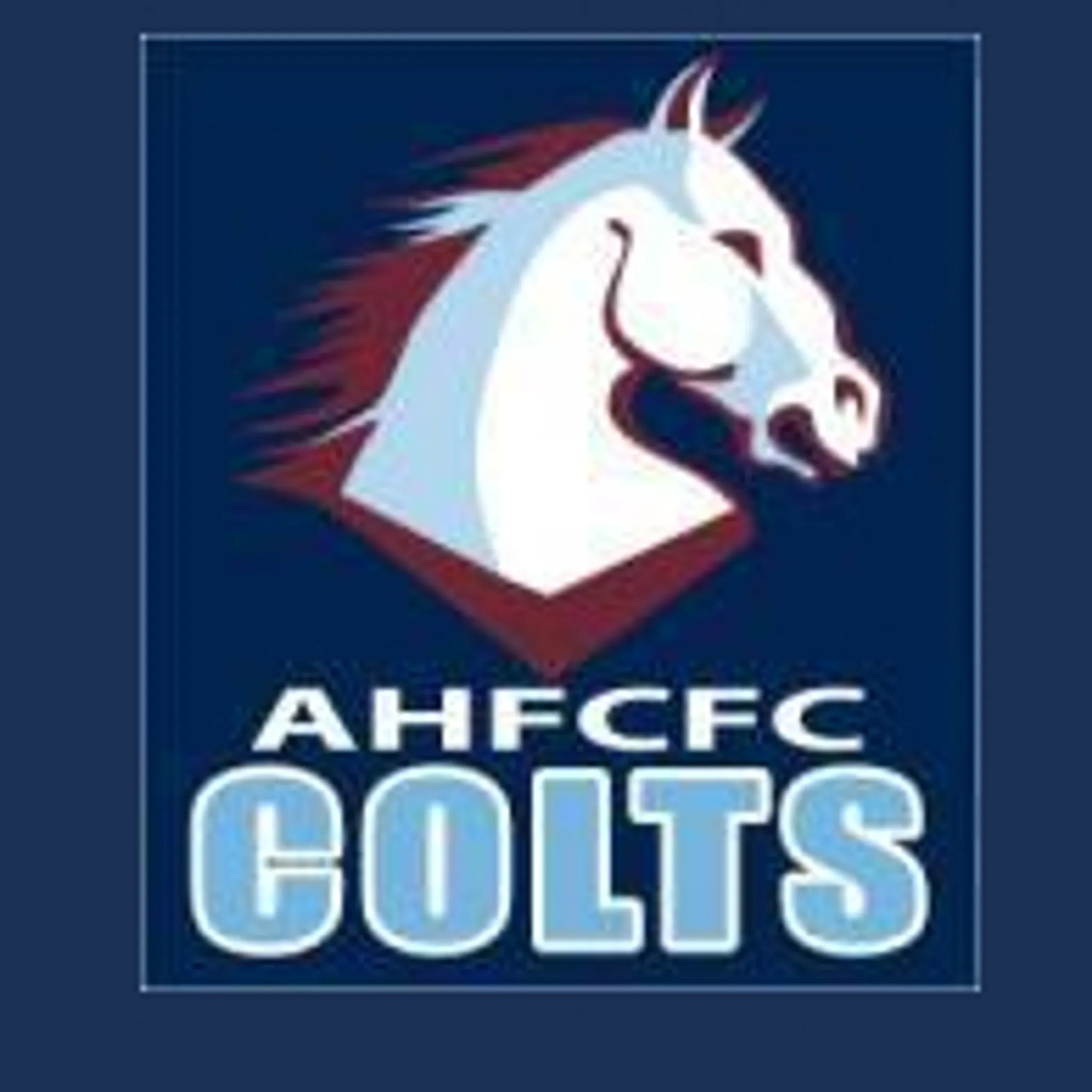 Aquinas and Holy Family Colts JRLFC