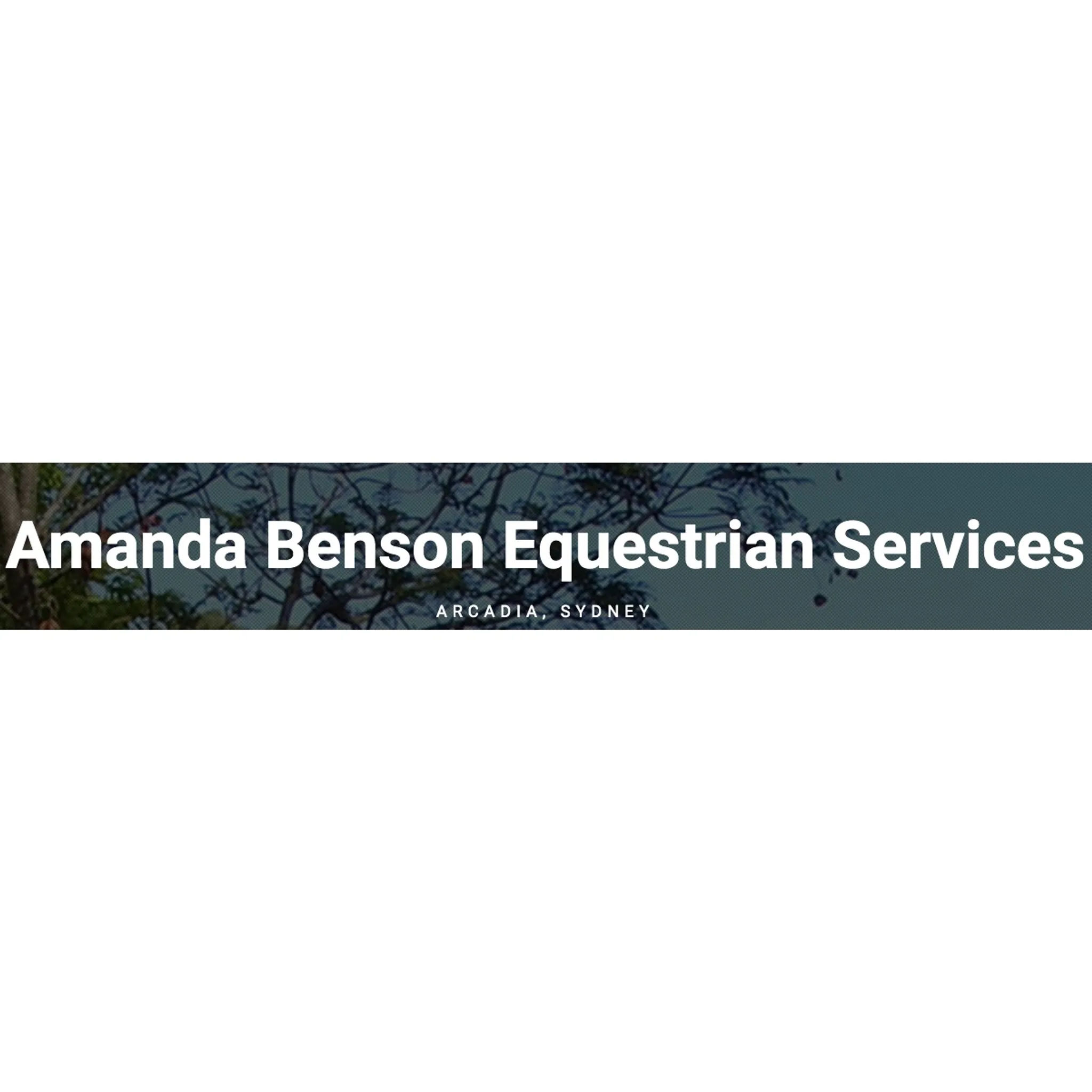 Amanda Benson Equestrian Services