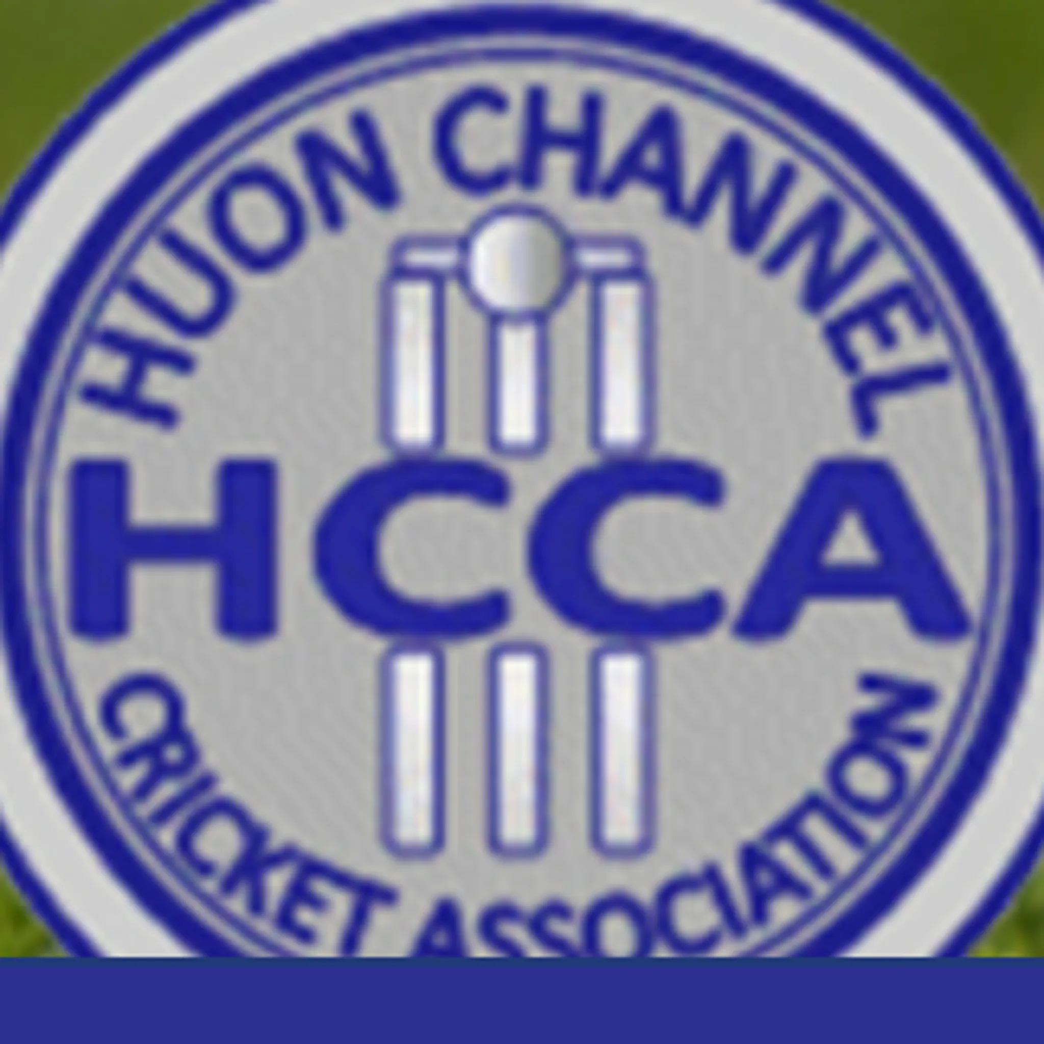 Huon Channel Cricket Association