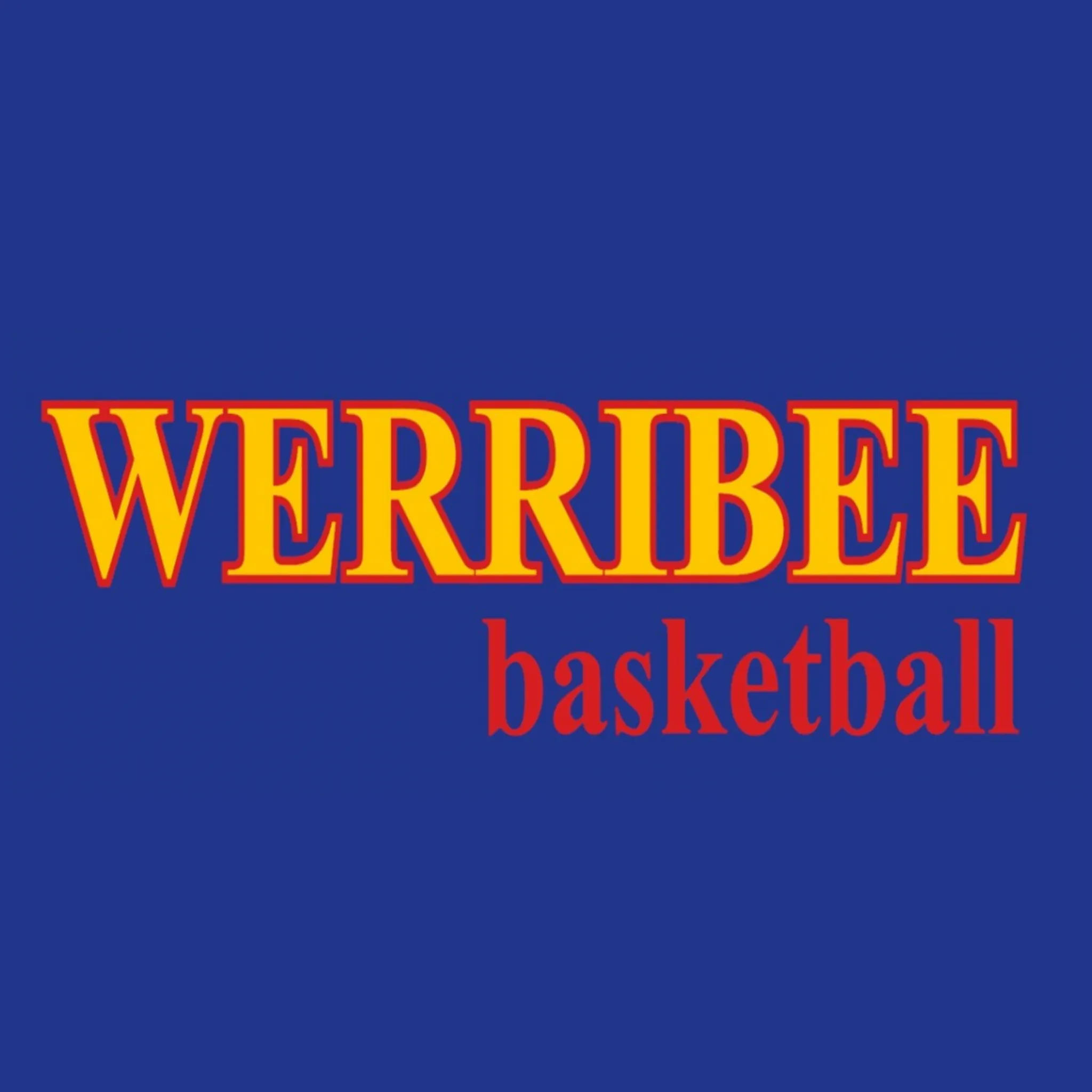 Werribee Basketball Referees