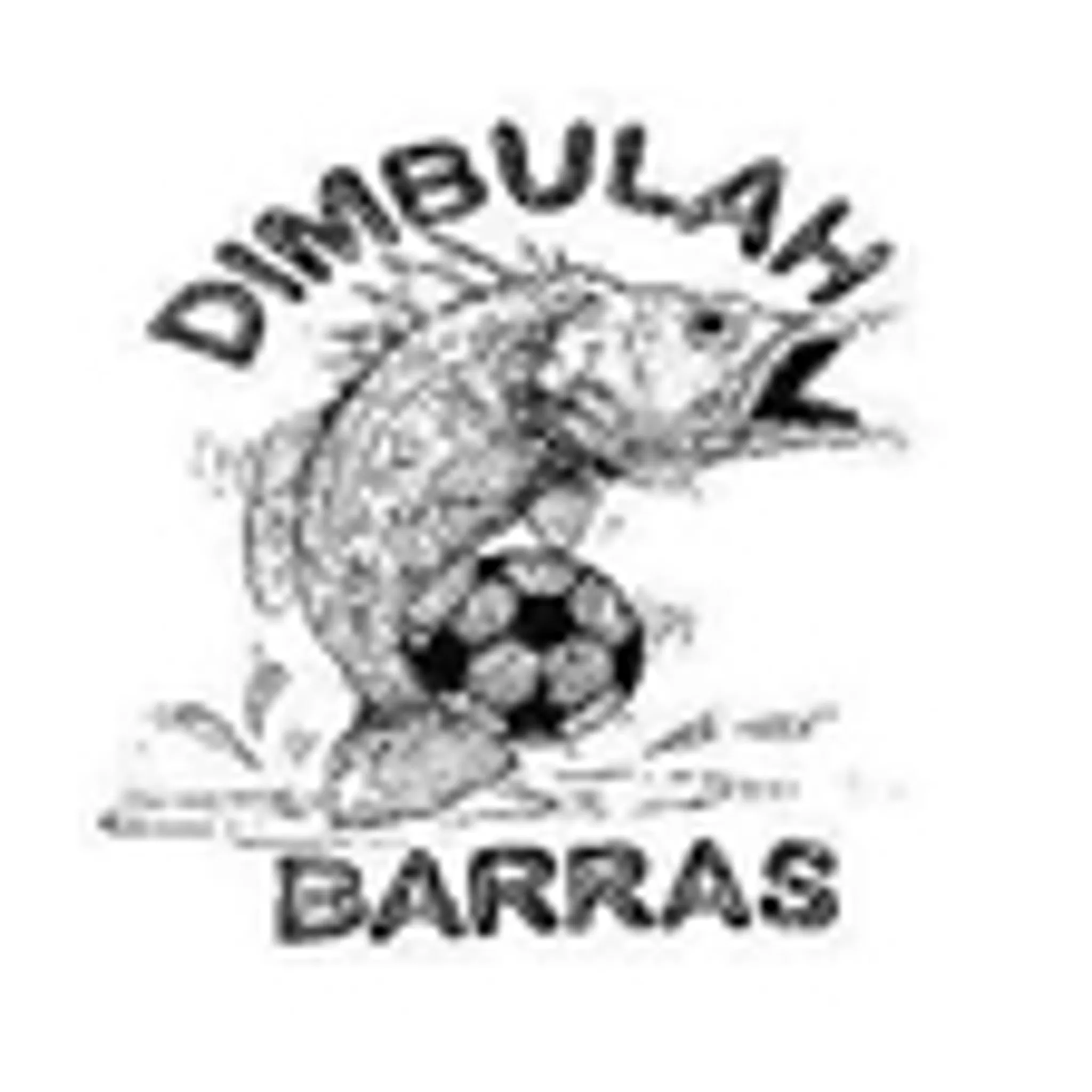 Dimbulah Football Club Inc.