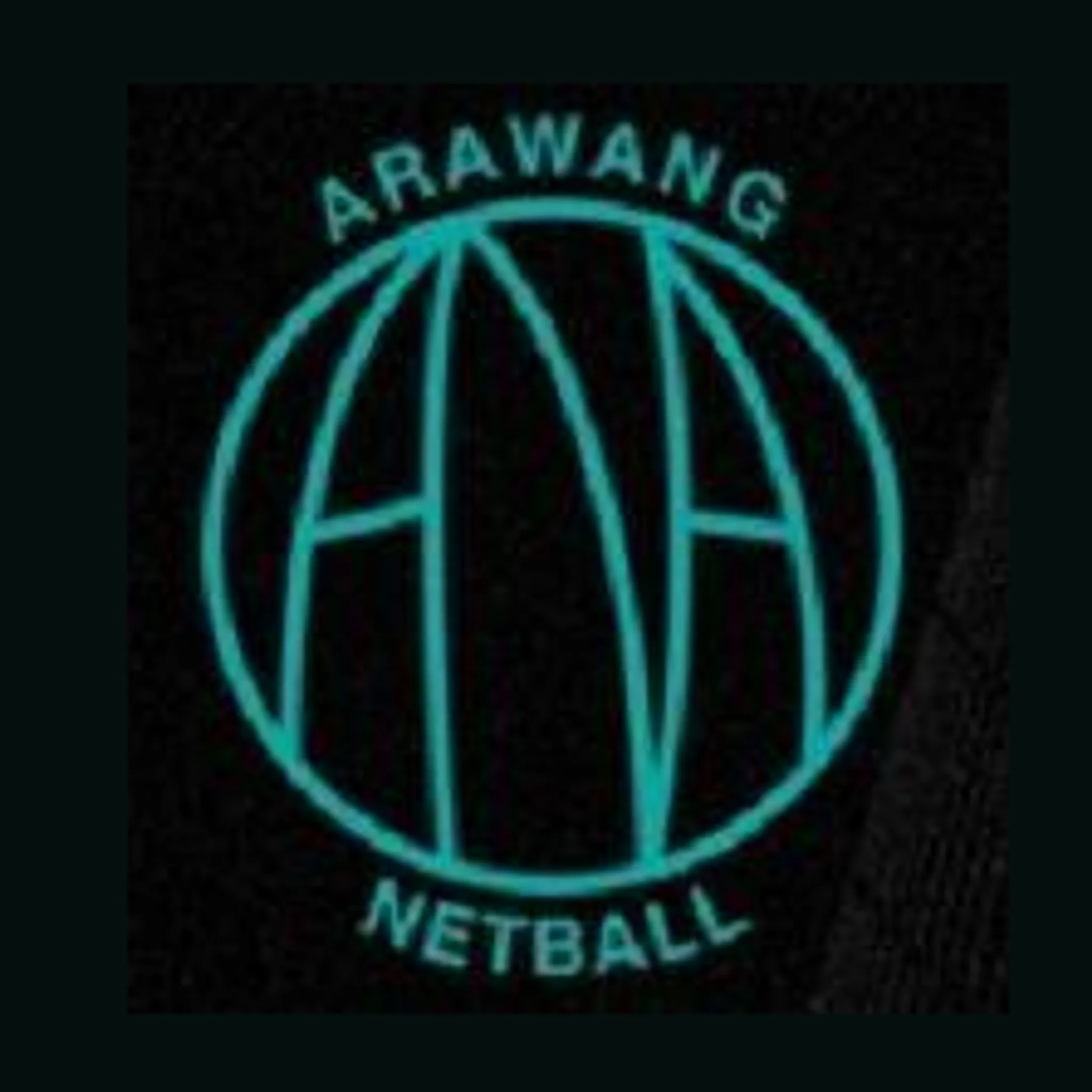 Arawang Netball Association 