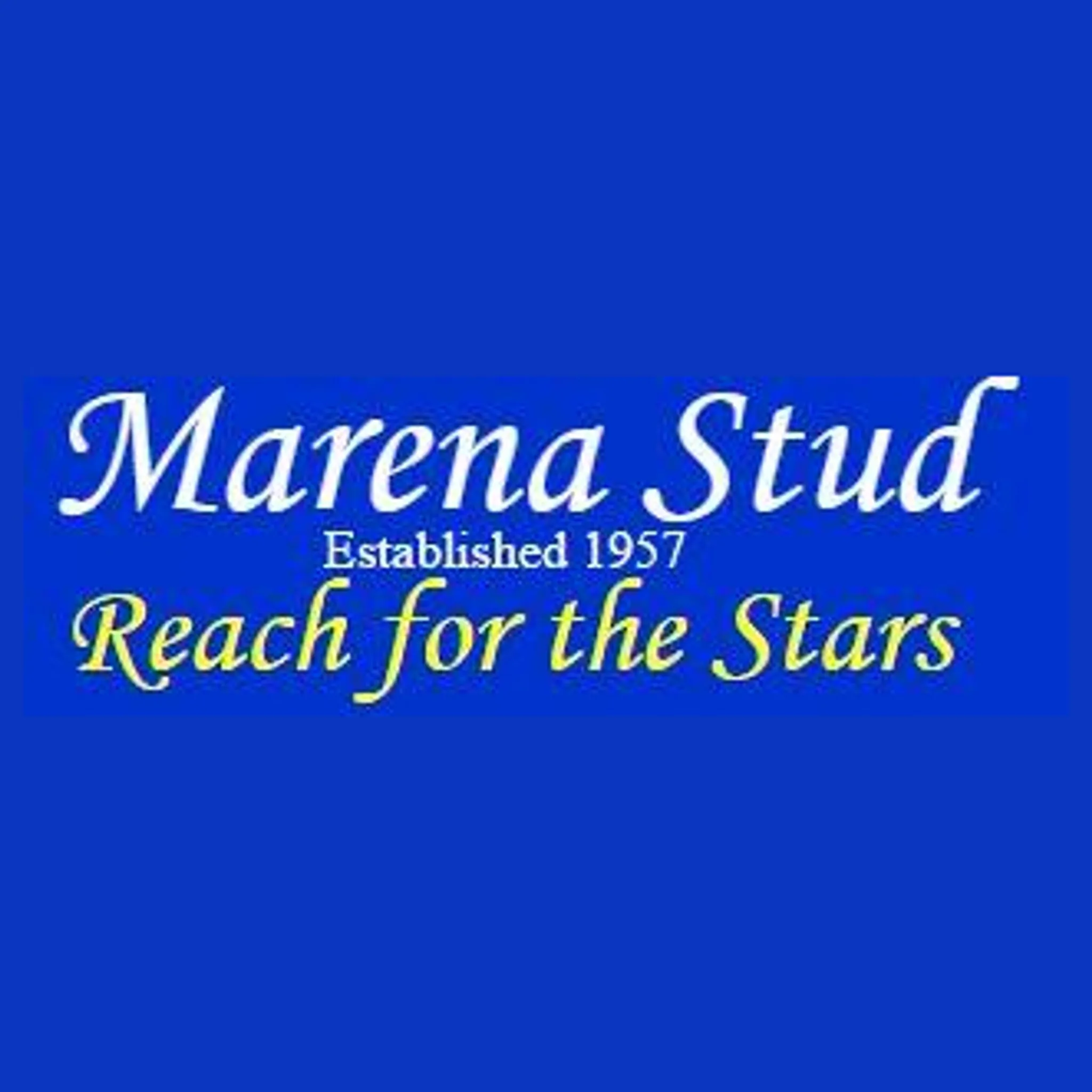 Marena Stud & Riding Academy