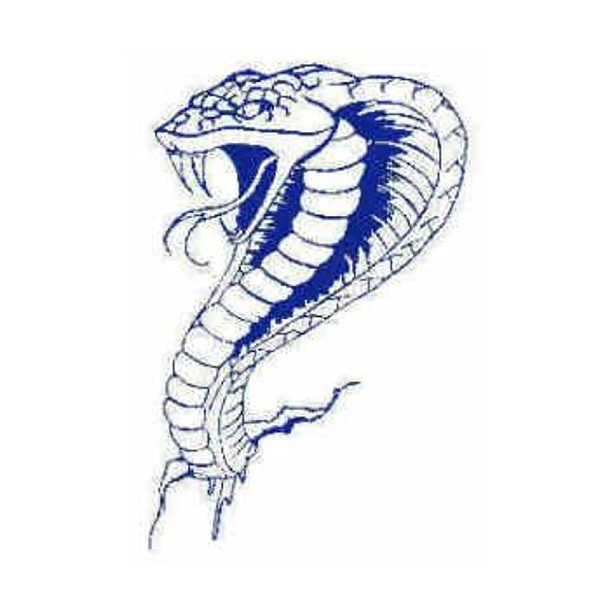 Albanvale Football Club