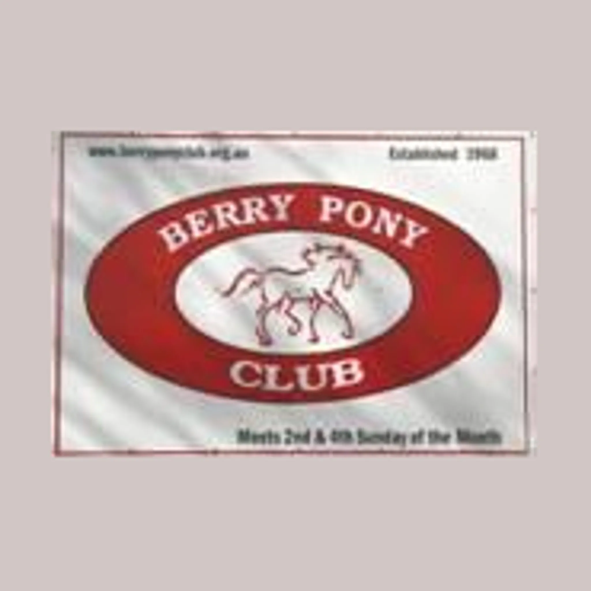 Berry Pony Club
