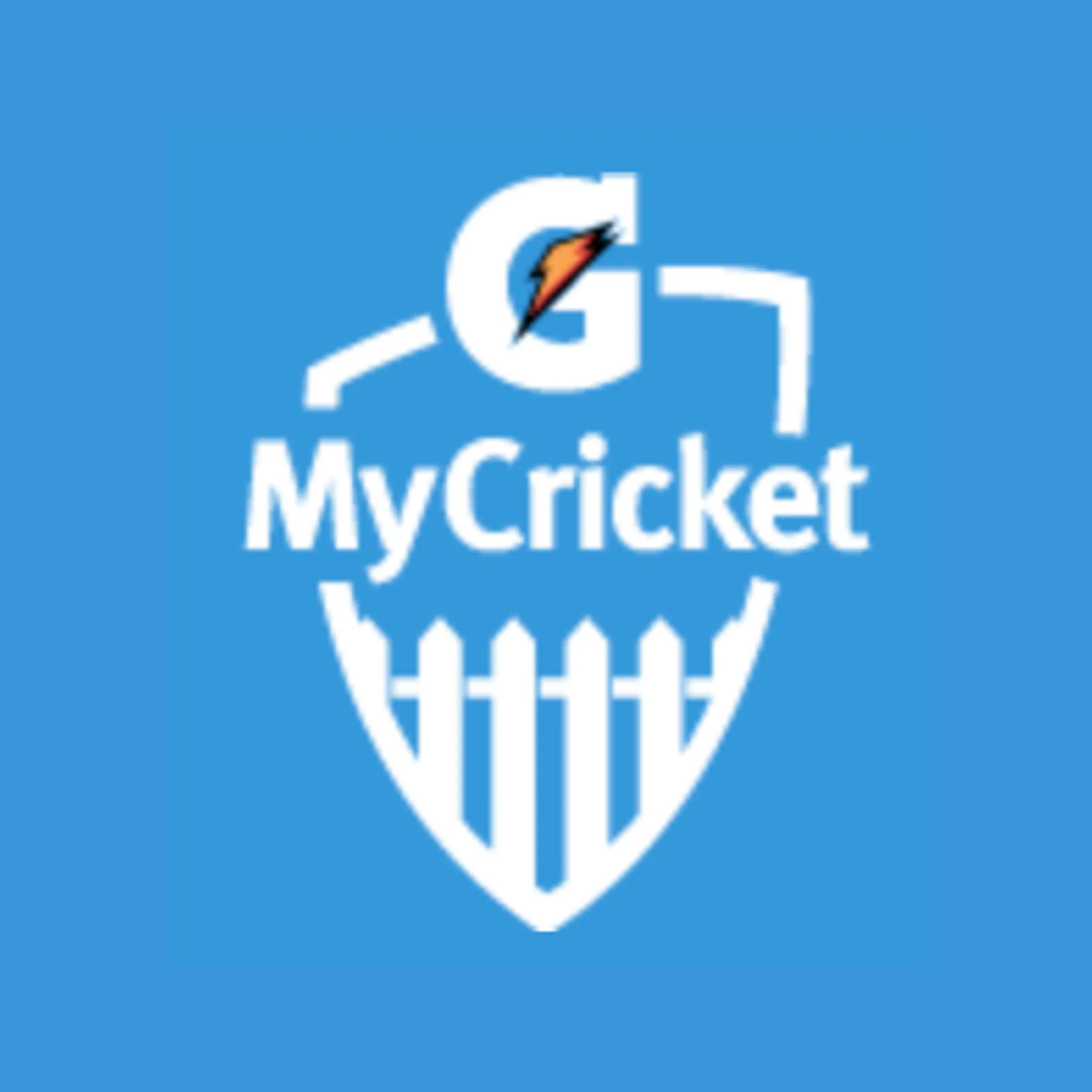 Meteors Junior Cricket League Indoors