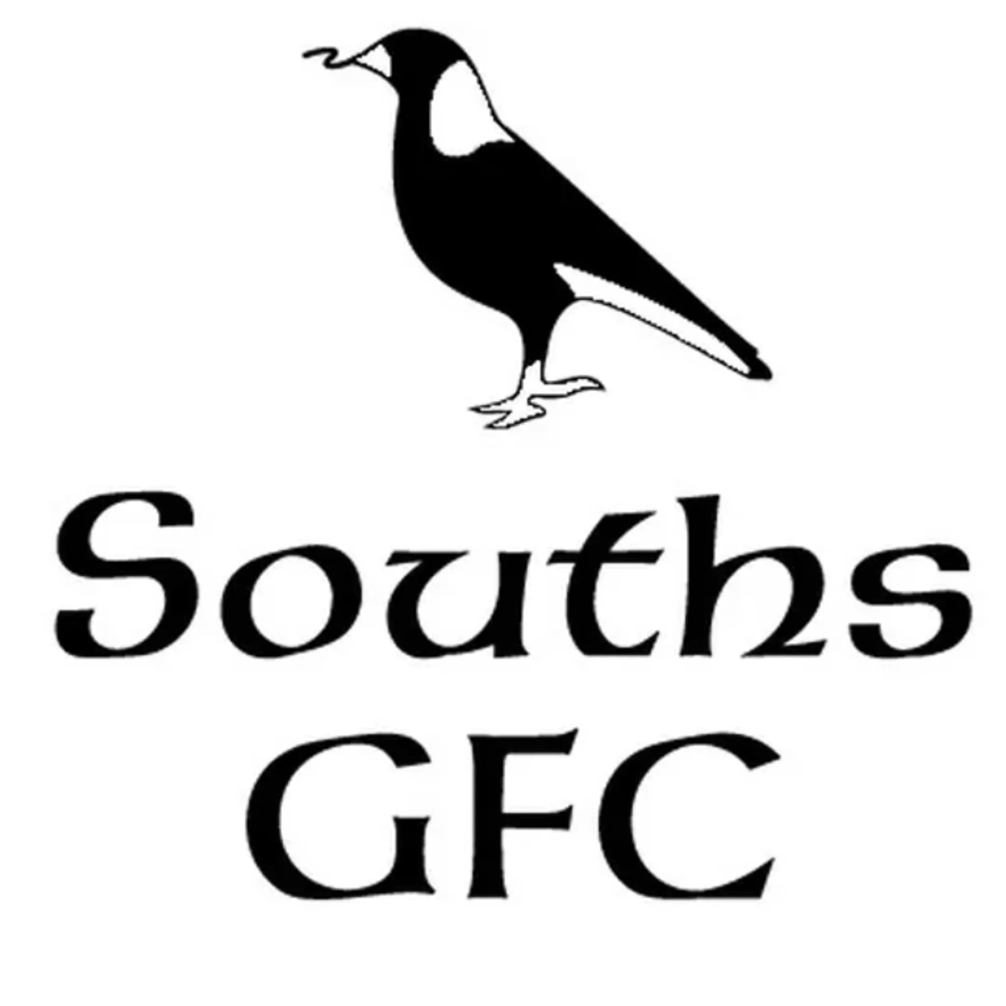Brisbane Souths Gaelic Football Club 