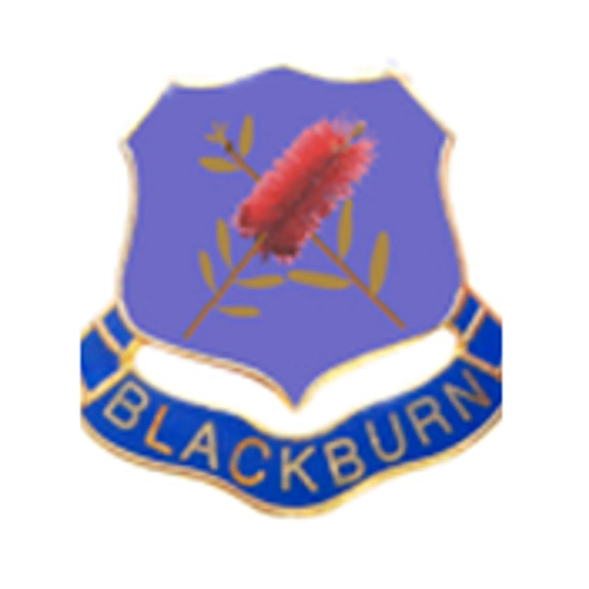 Blackburn Calisthenic College