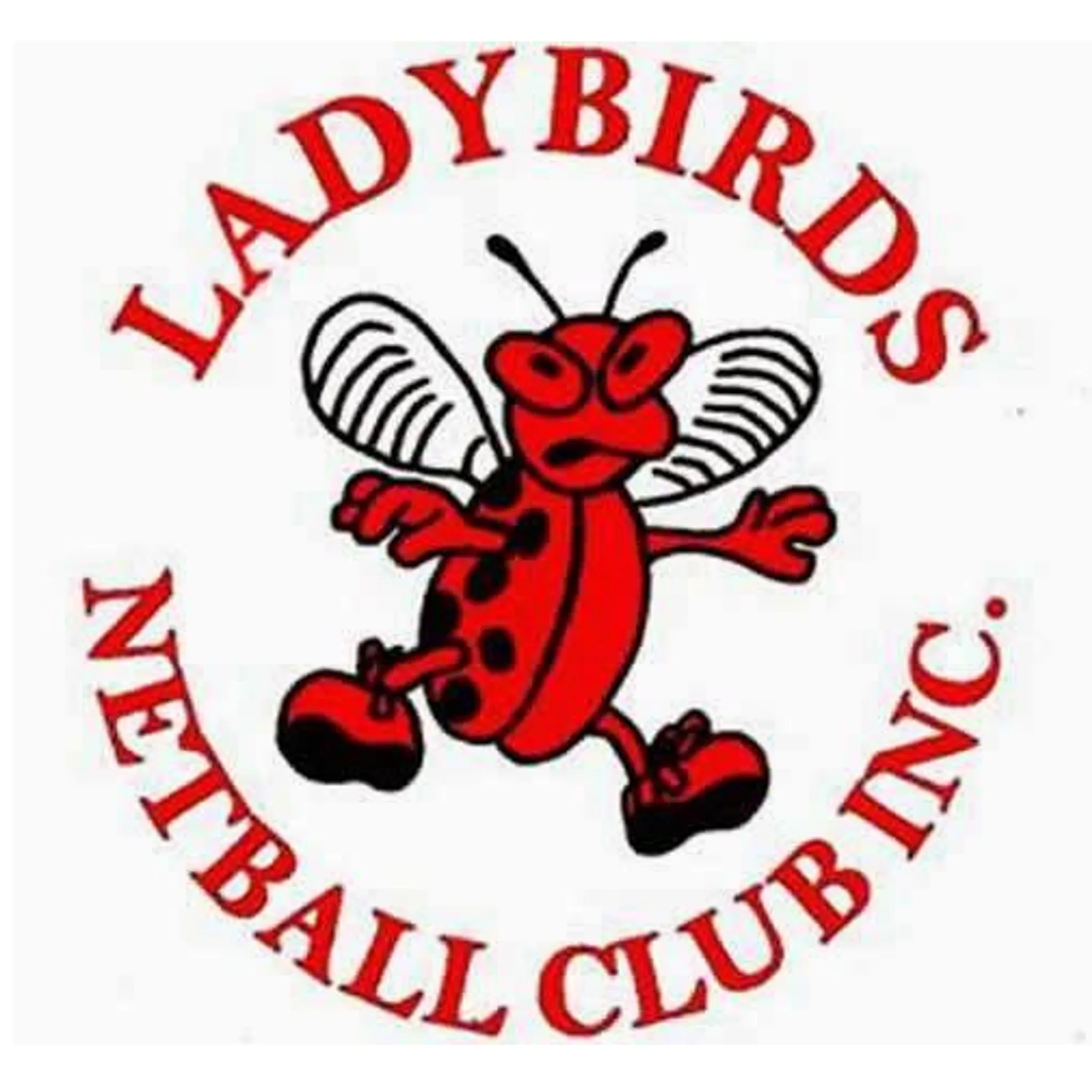 Ladybirds Netball Club