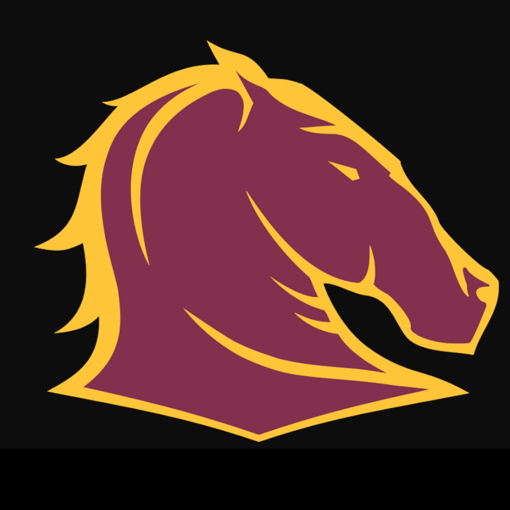 Moore Park Broncos Junior Rugby League Football Club 