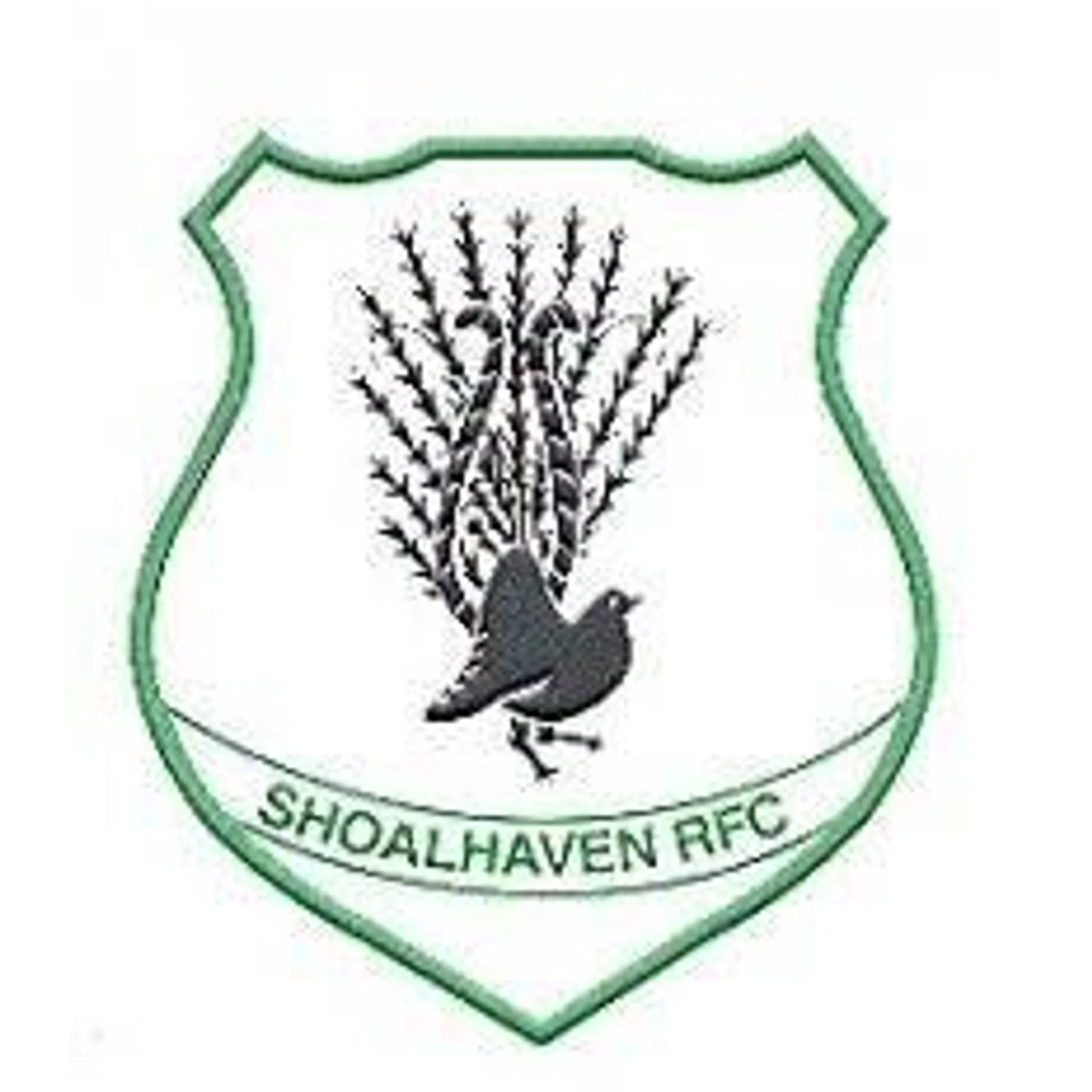 Shoalhaven Rugby Football Club
