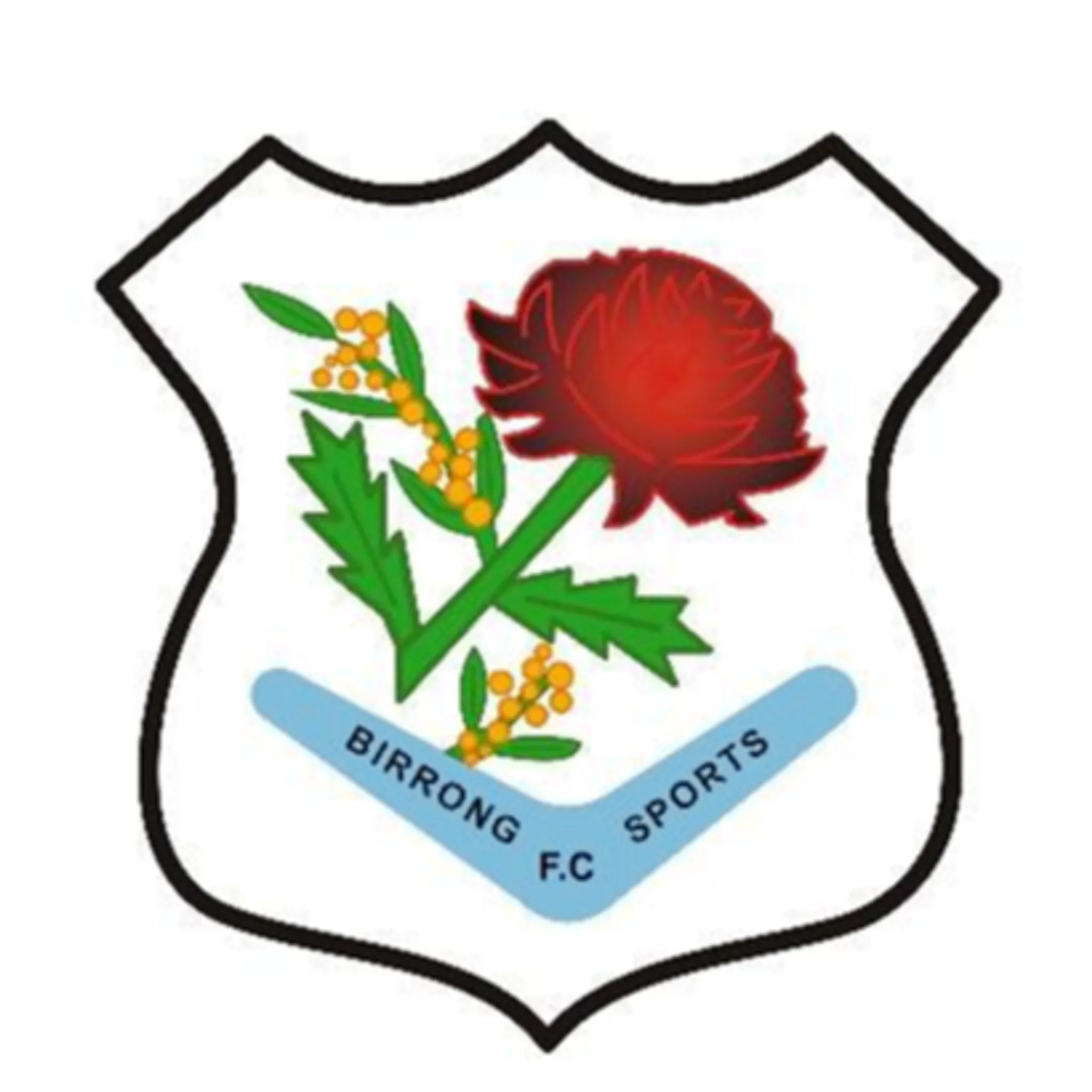 Birrong Sports FC