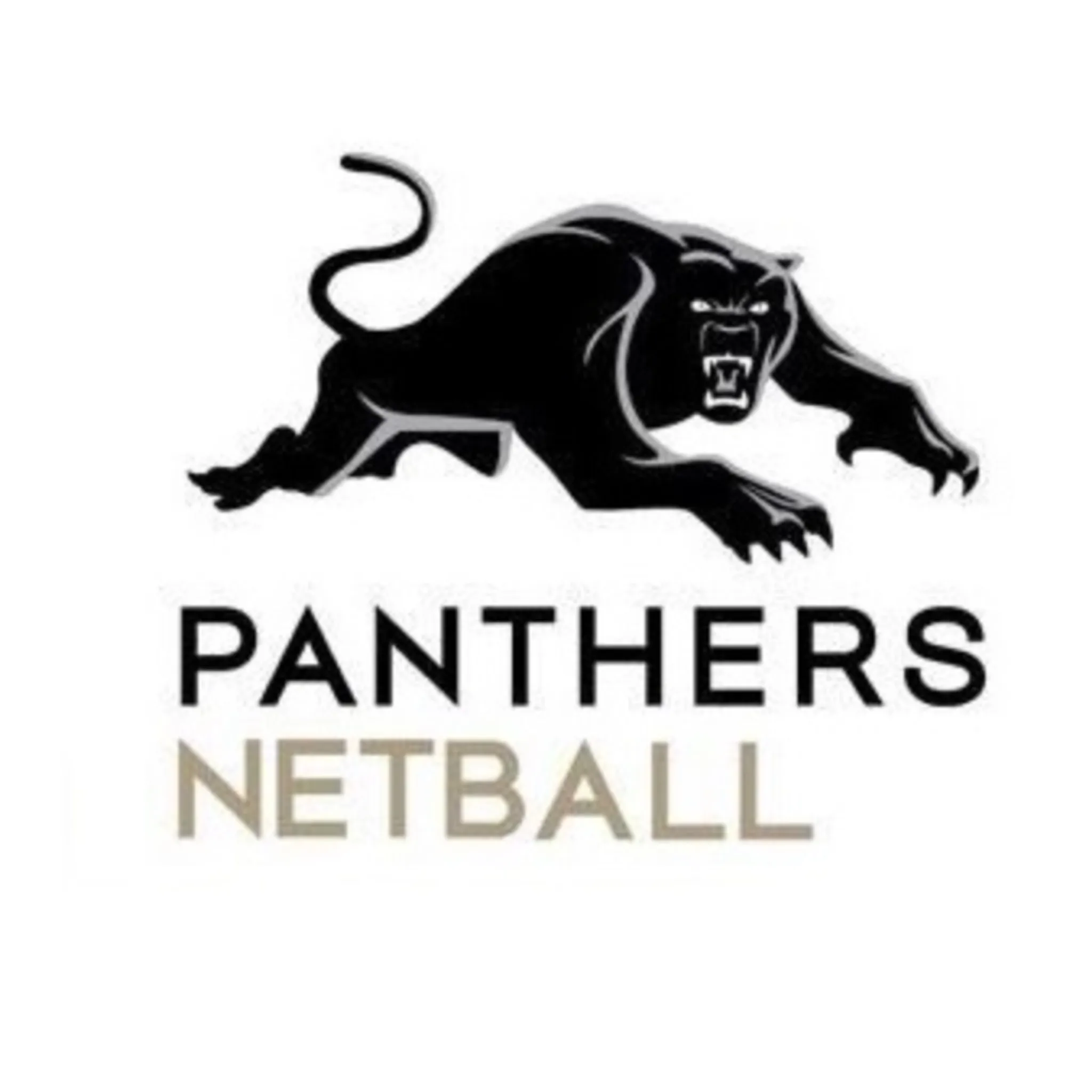 Panthers Netball Club