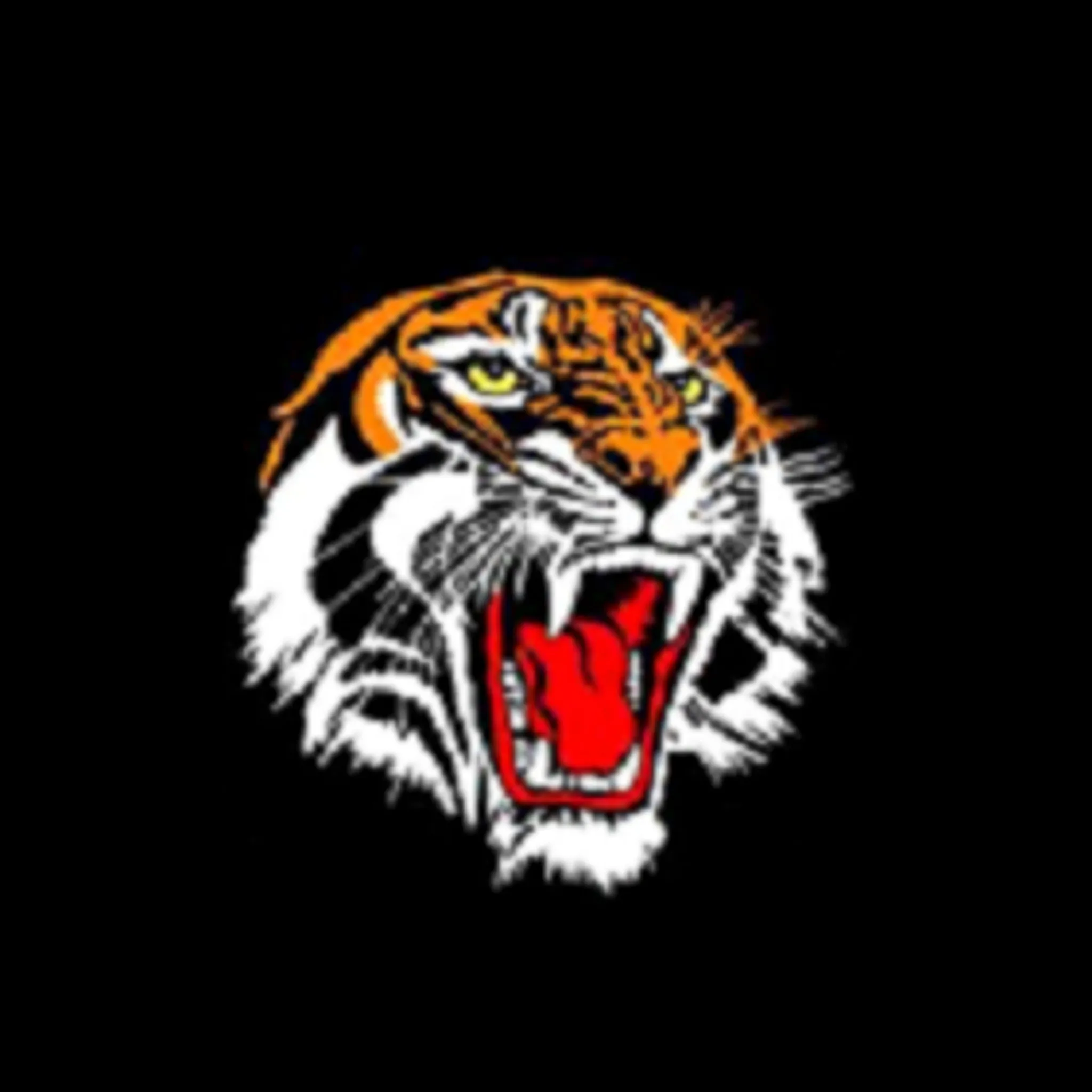 Wingham District Rugby League Football Club