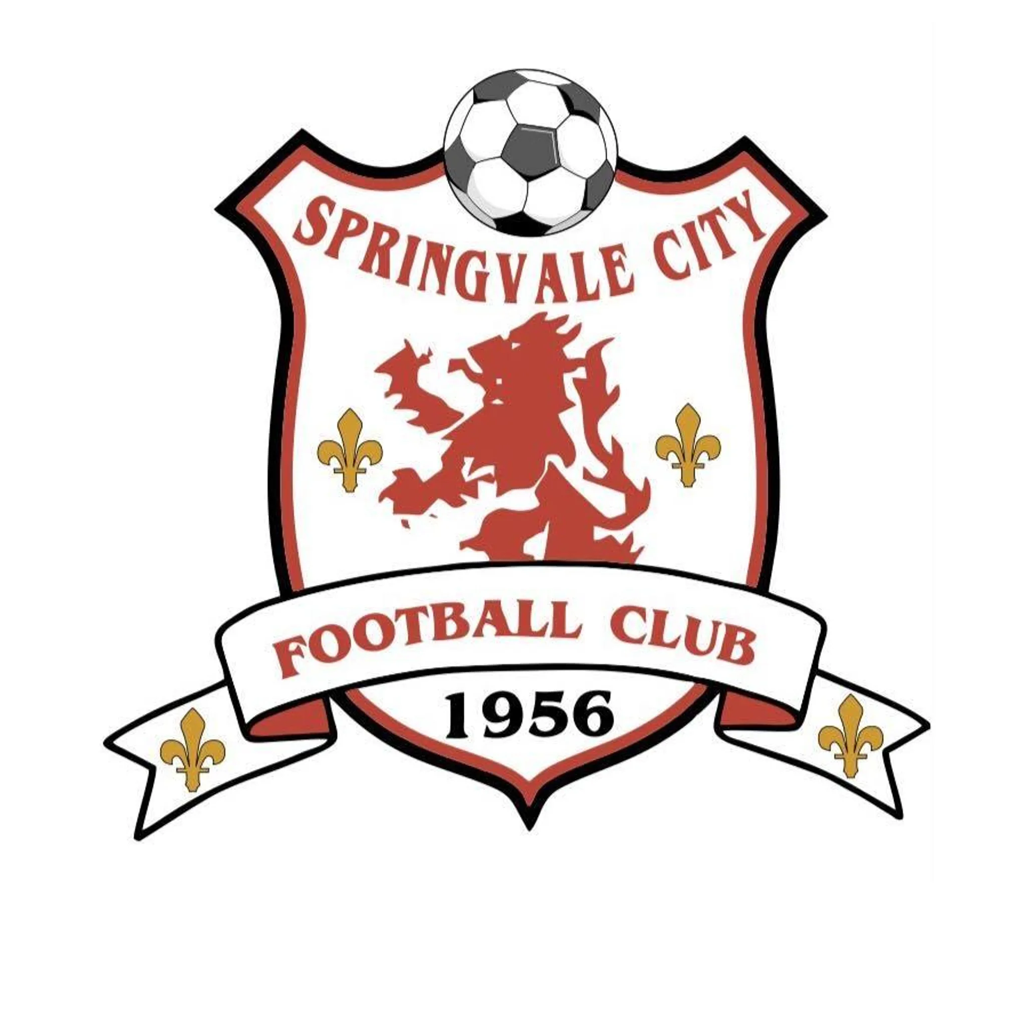 Springvale City Soccer Club