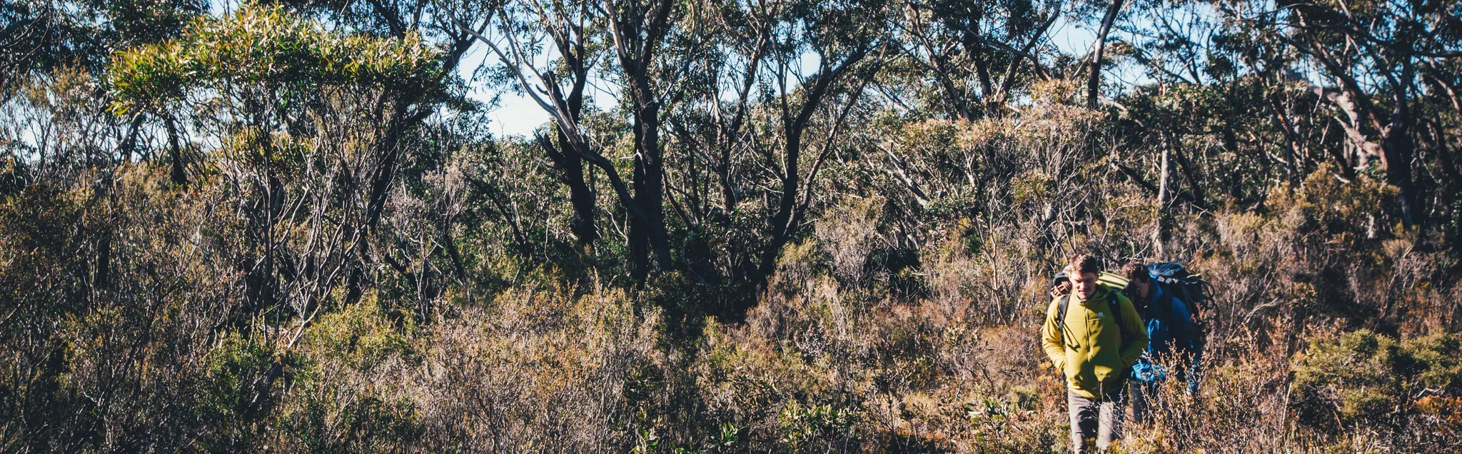 Bushwalking banner