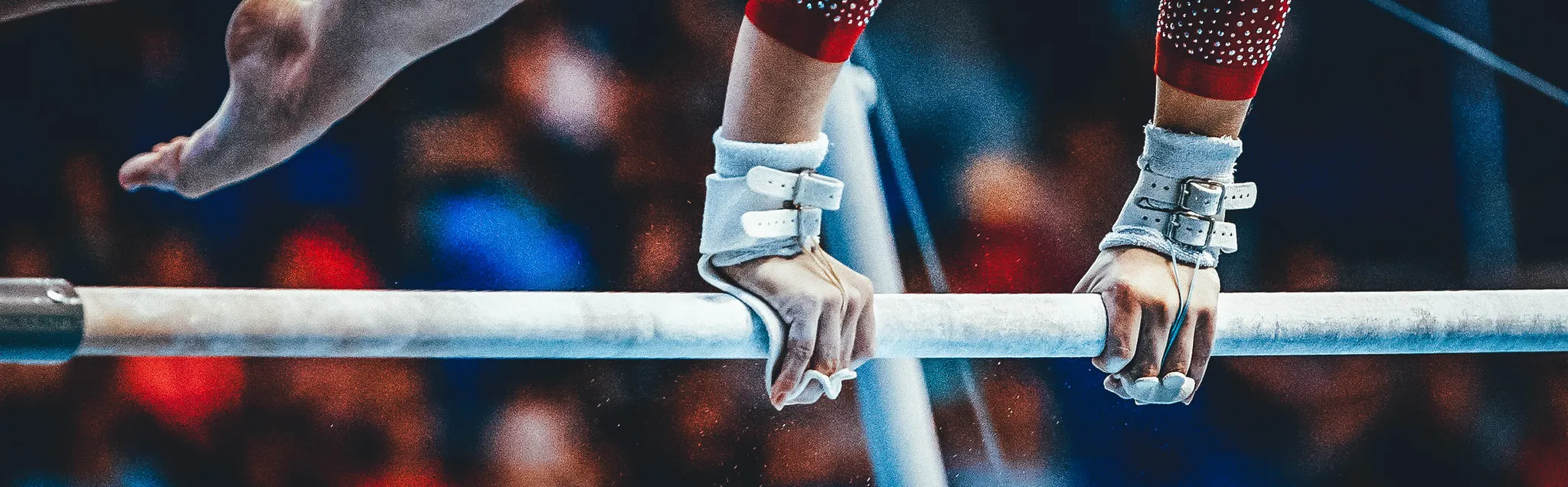 Artistic Gymnastics banner
