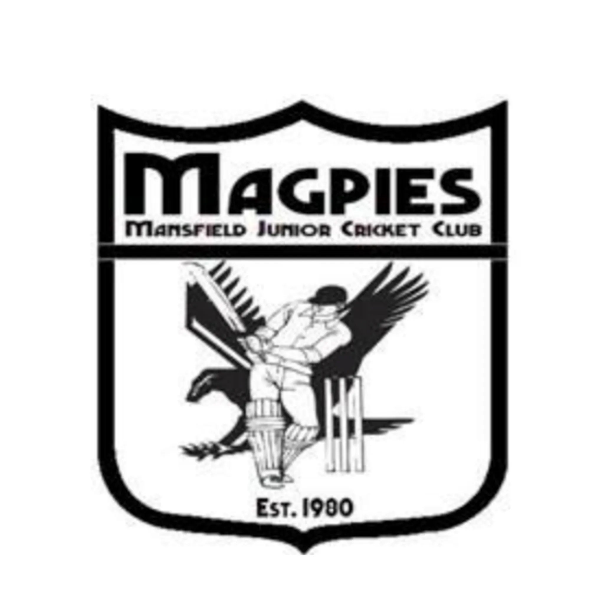 Mansfield Junior Cricket Club