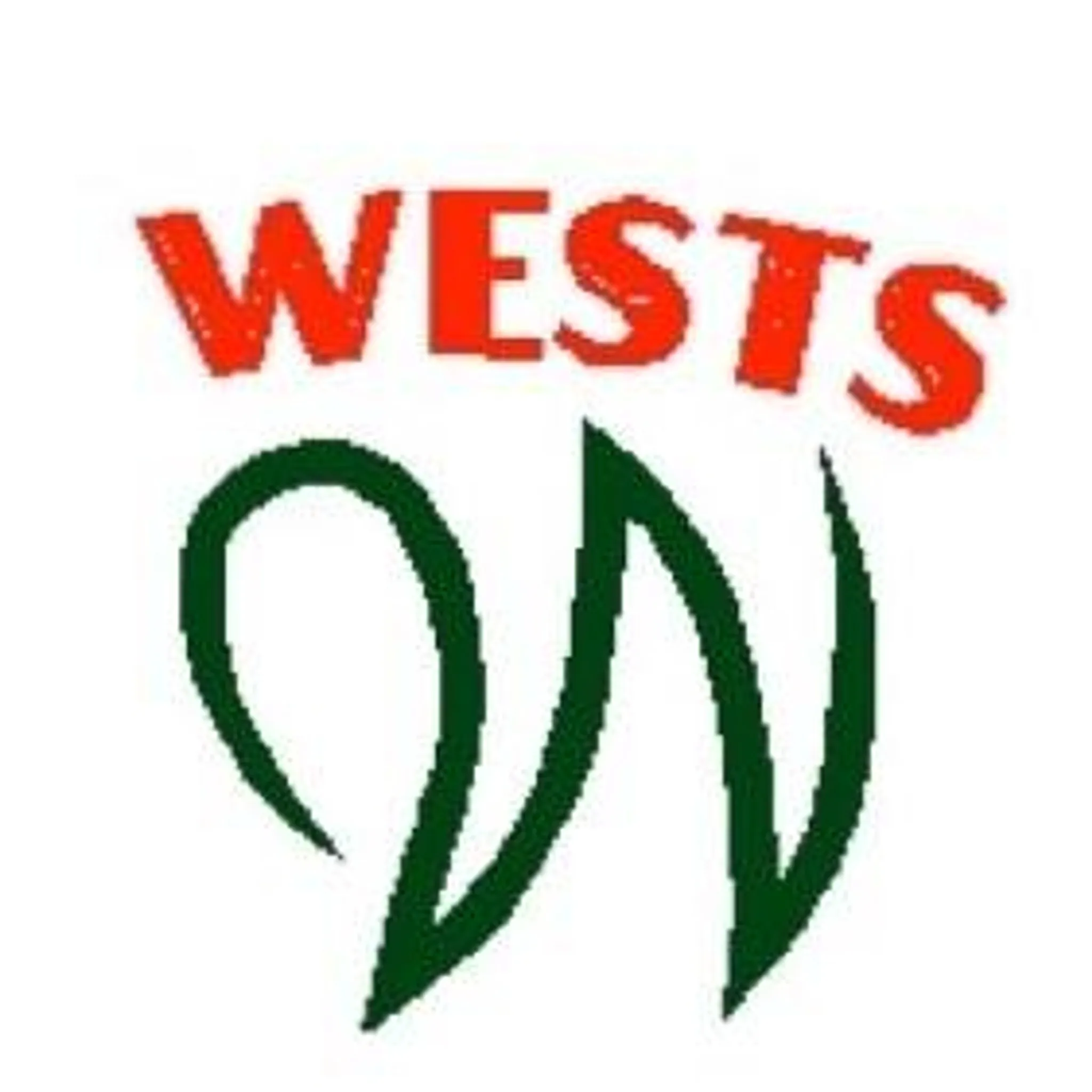 Wests Illawarra Netball Club