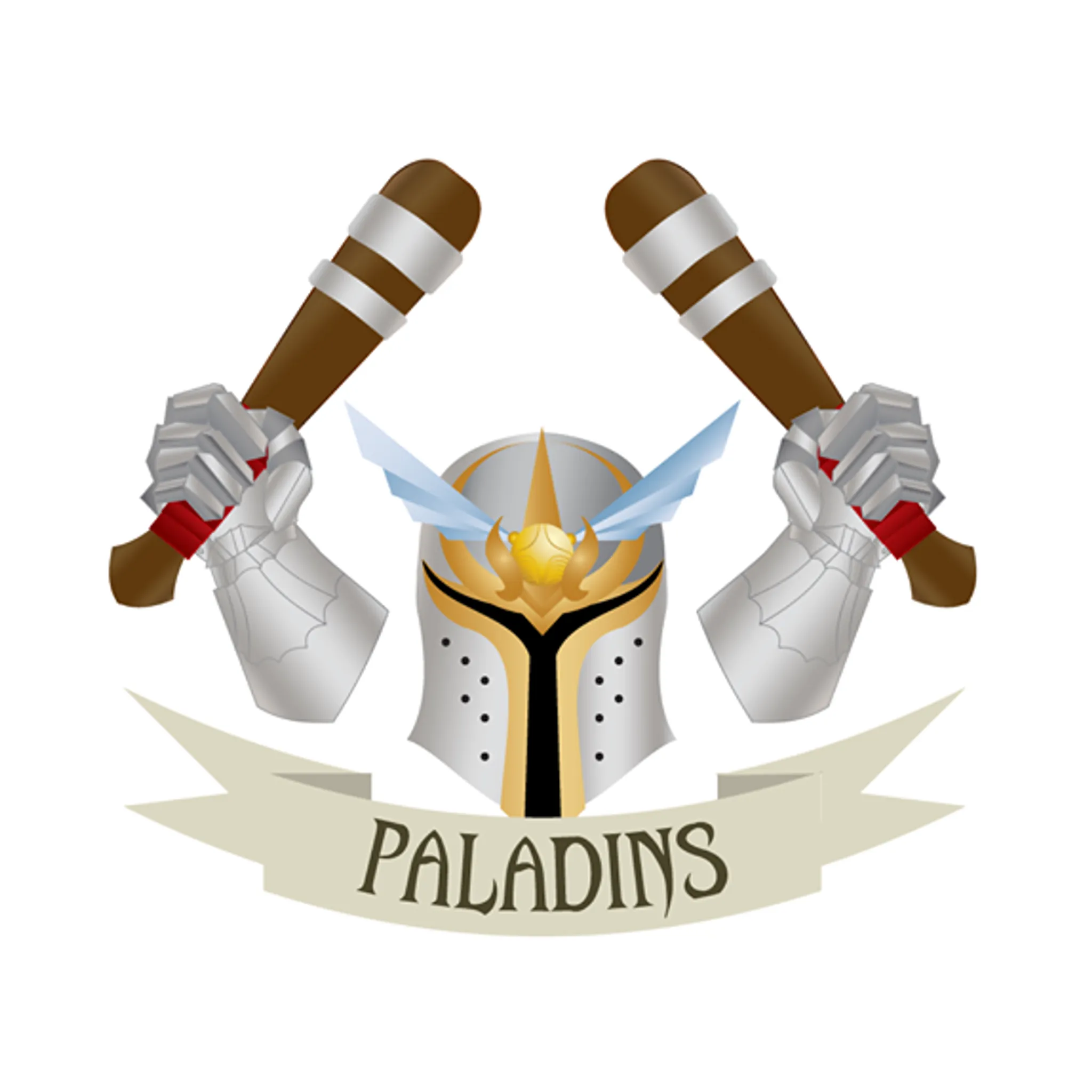 ACU Paladins Quidditch Club