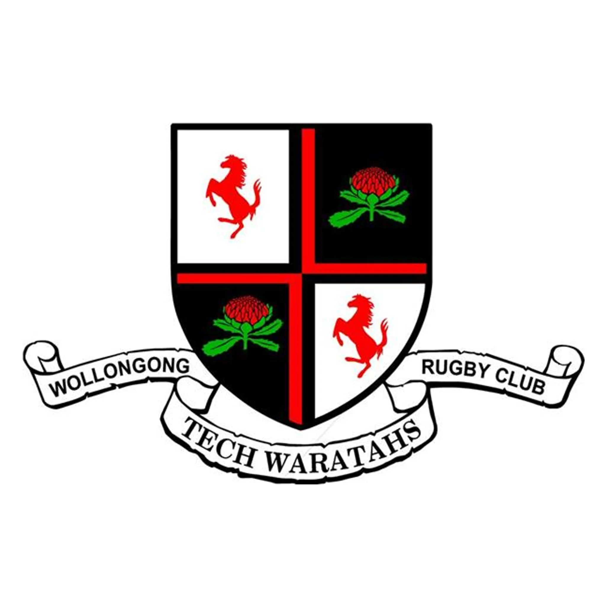Wollongong Tech Waratahs Rugby Club