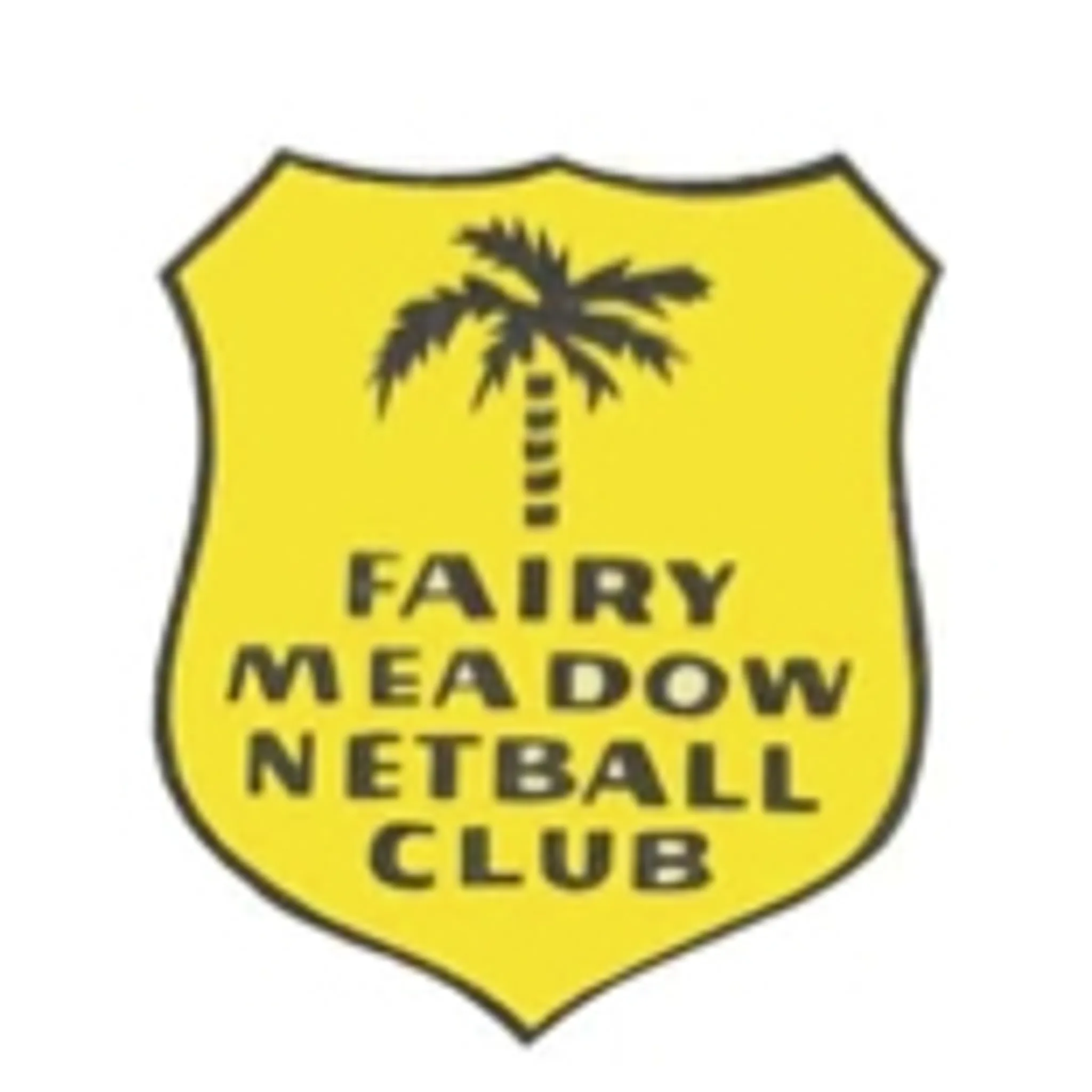 Fairy Meadow Netball Club