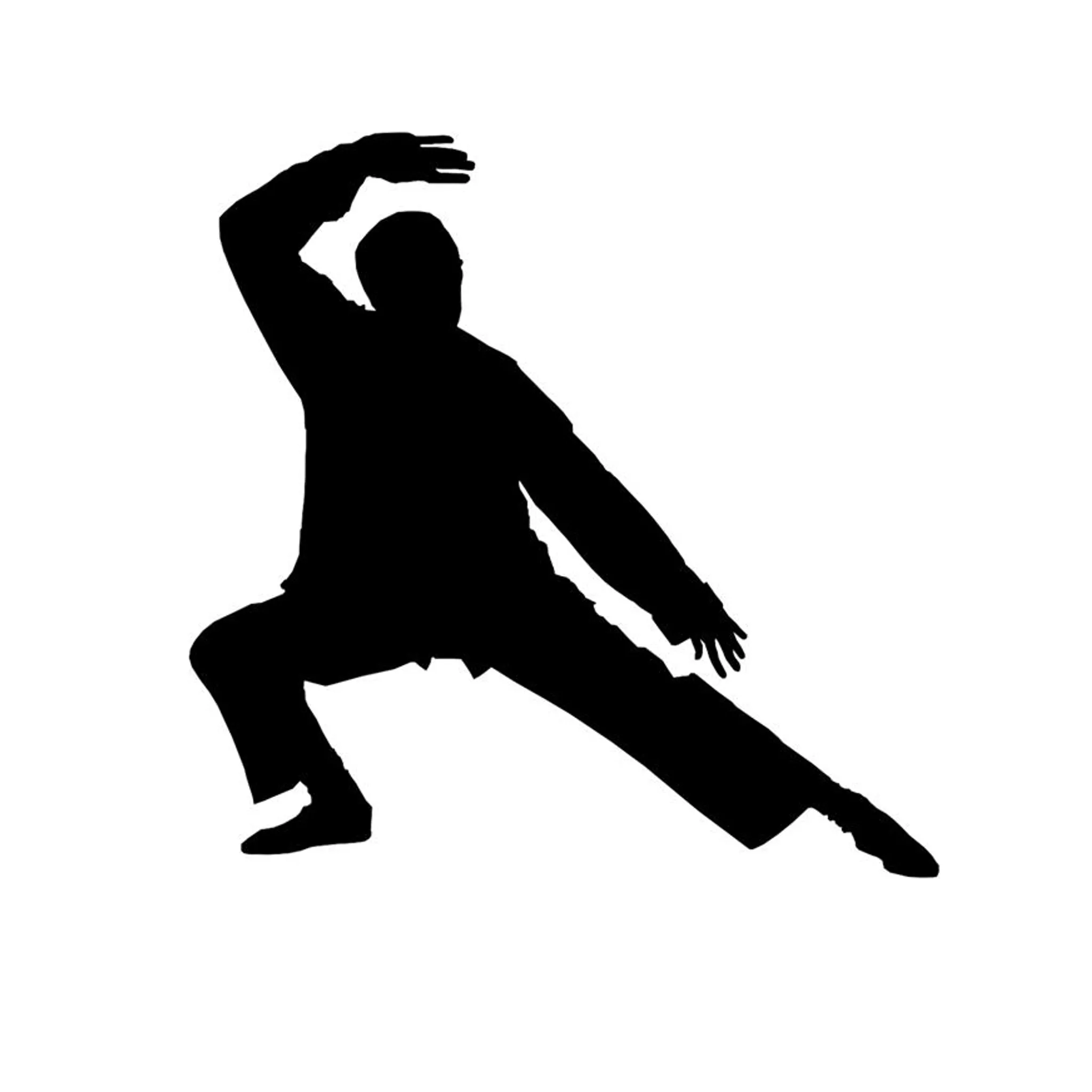 Budokai Australia - Comprehensive East Asian Fighting Systems