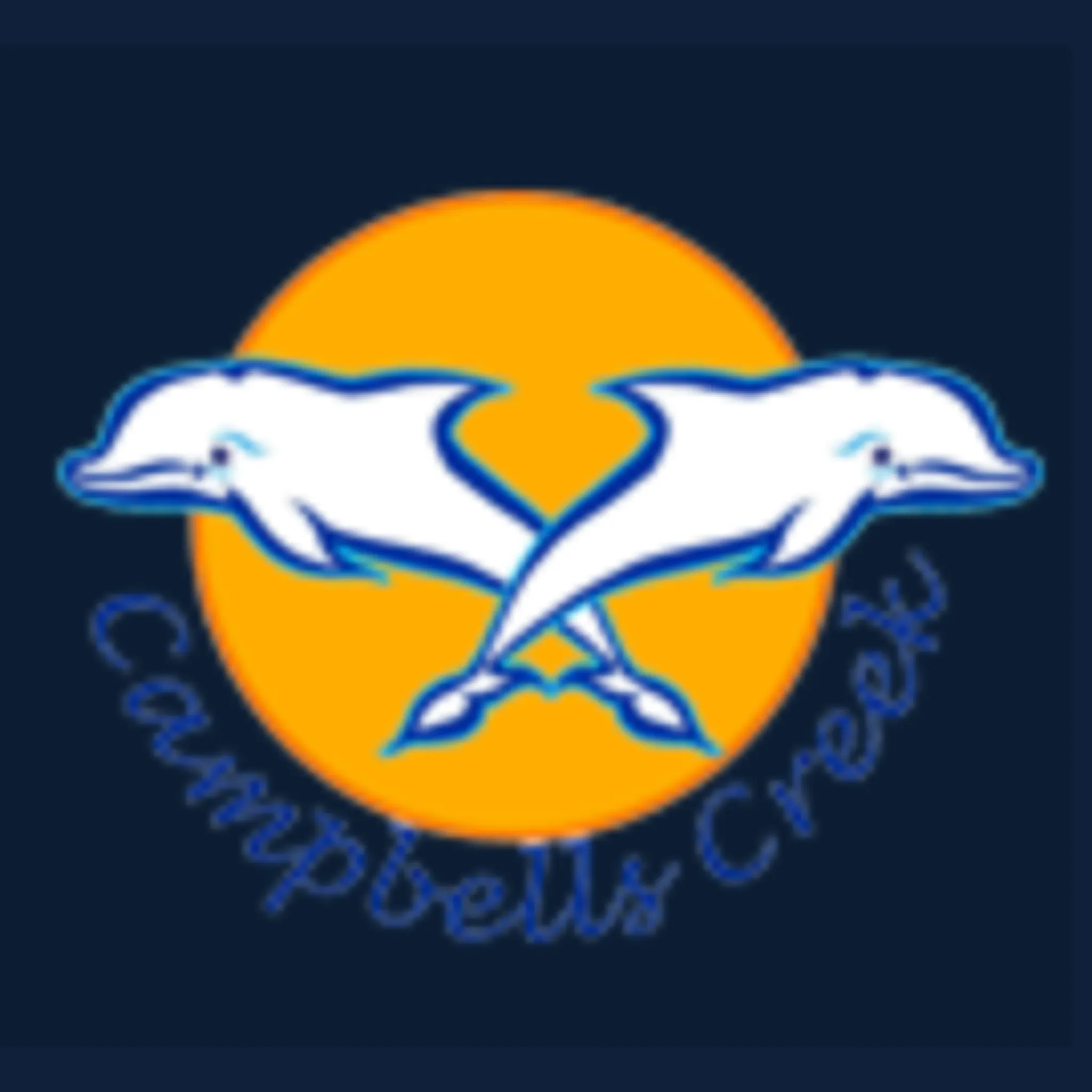 Campbells Creek : Swim, Learn, Survive