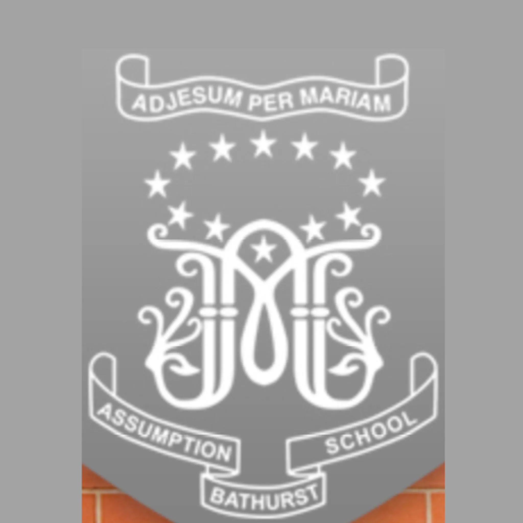 Assumption School Auskick 