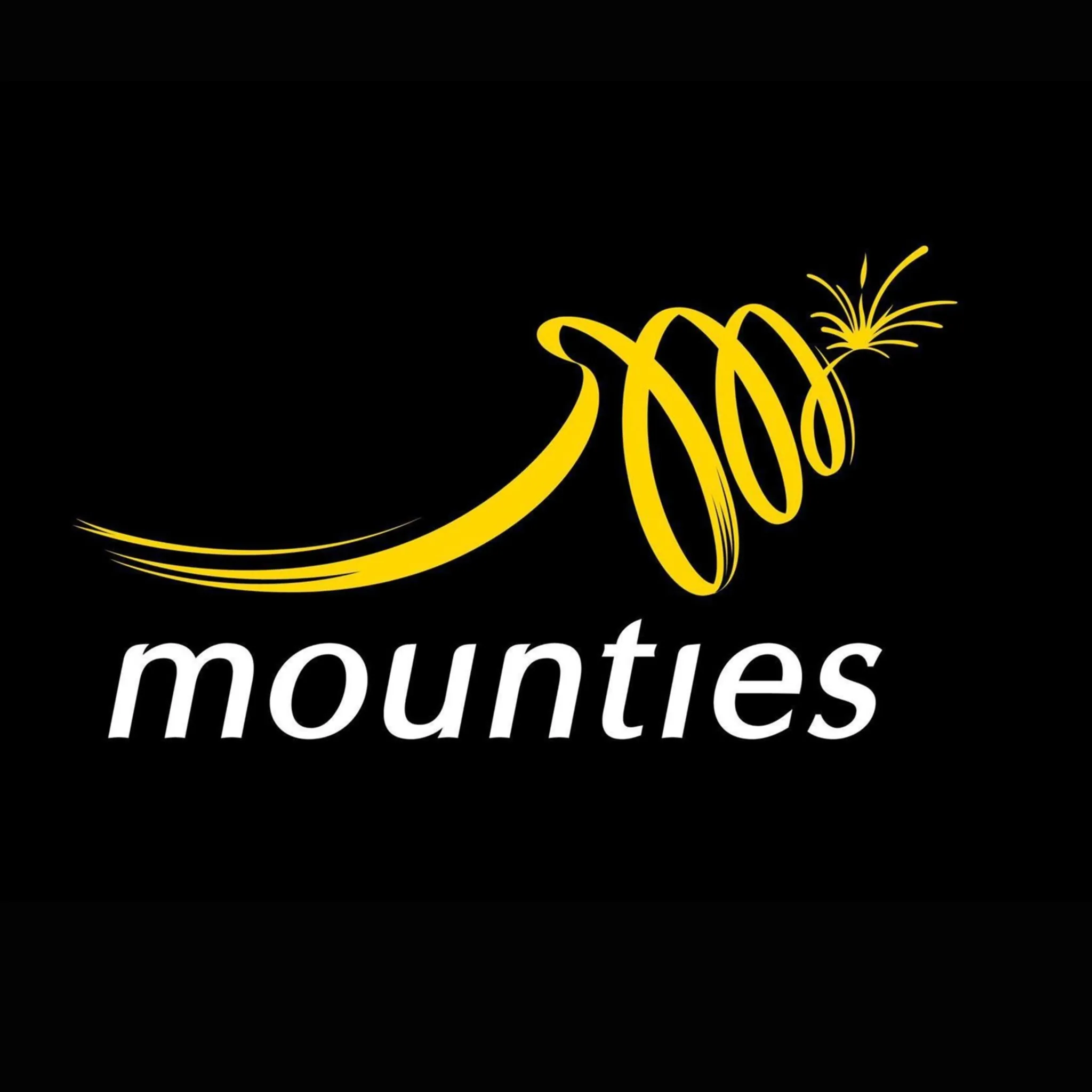 Mounties Darts Club