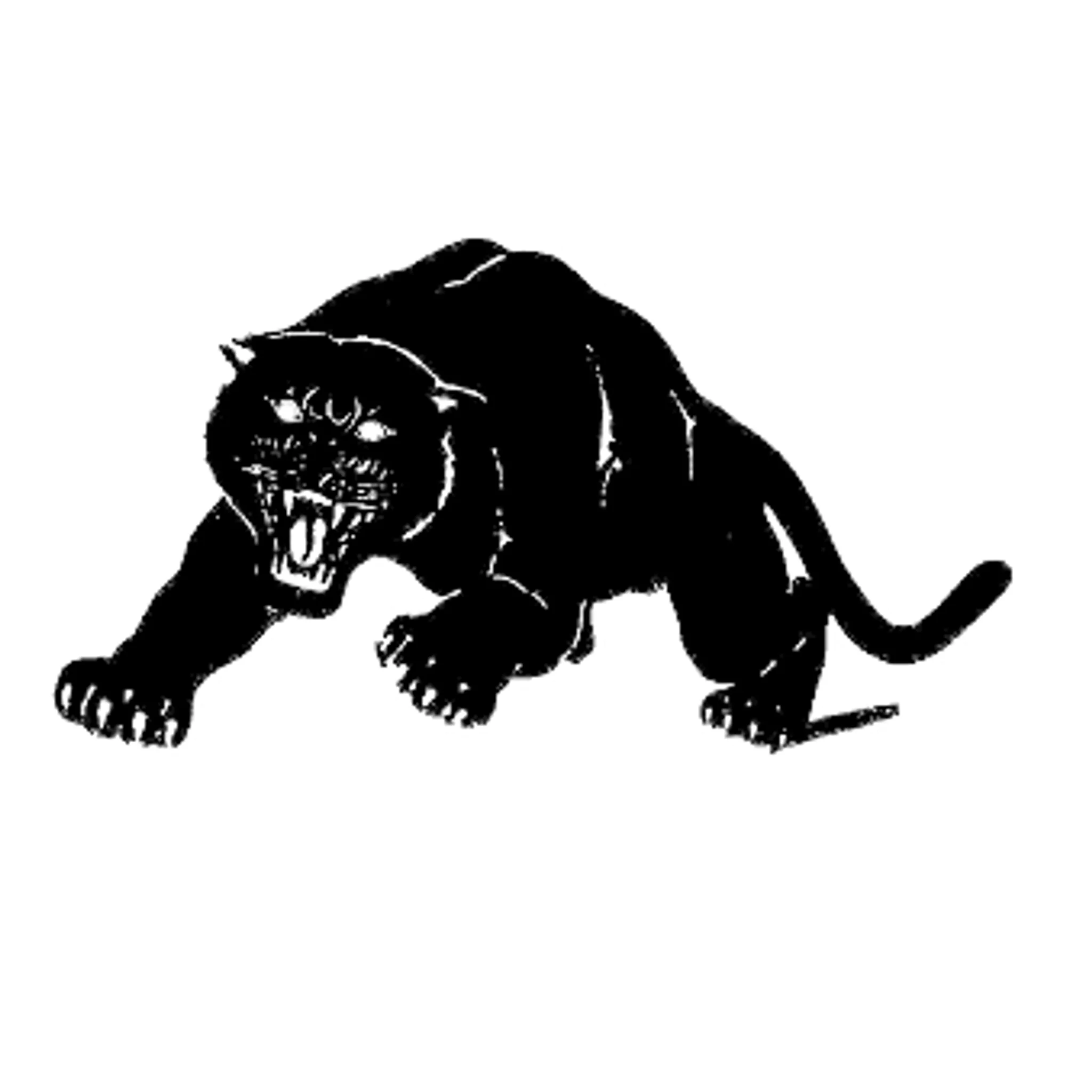 Panthers Basketball Club