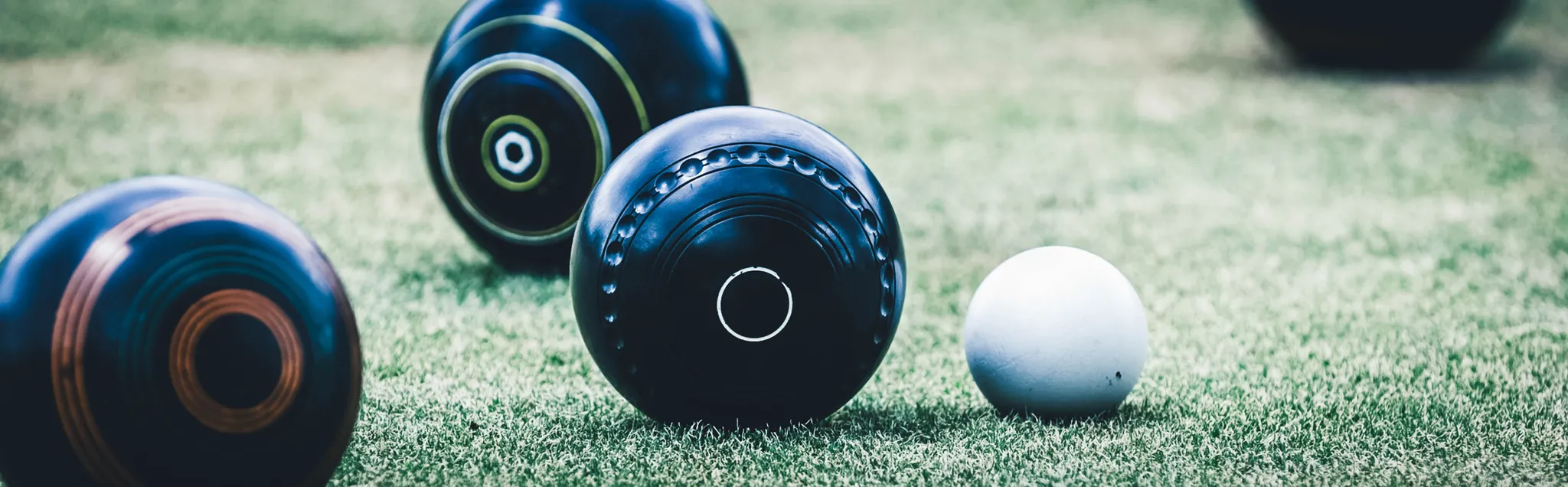 Lawn Bowls banner