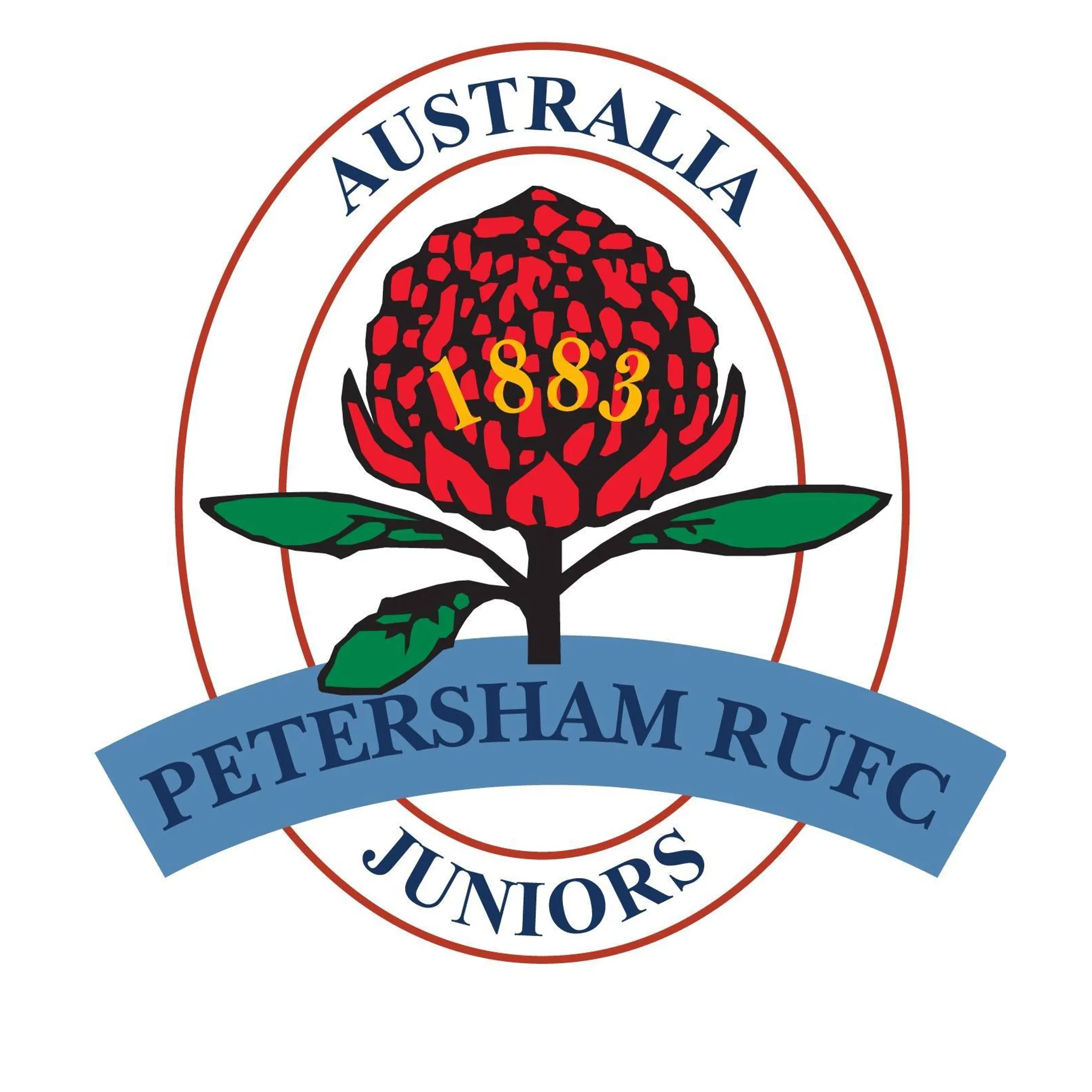 Petersham Juniors Rugby Club