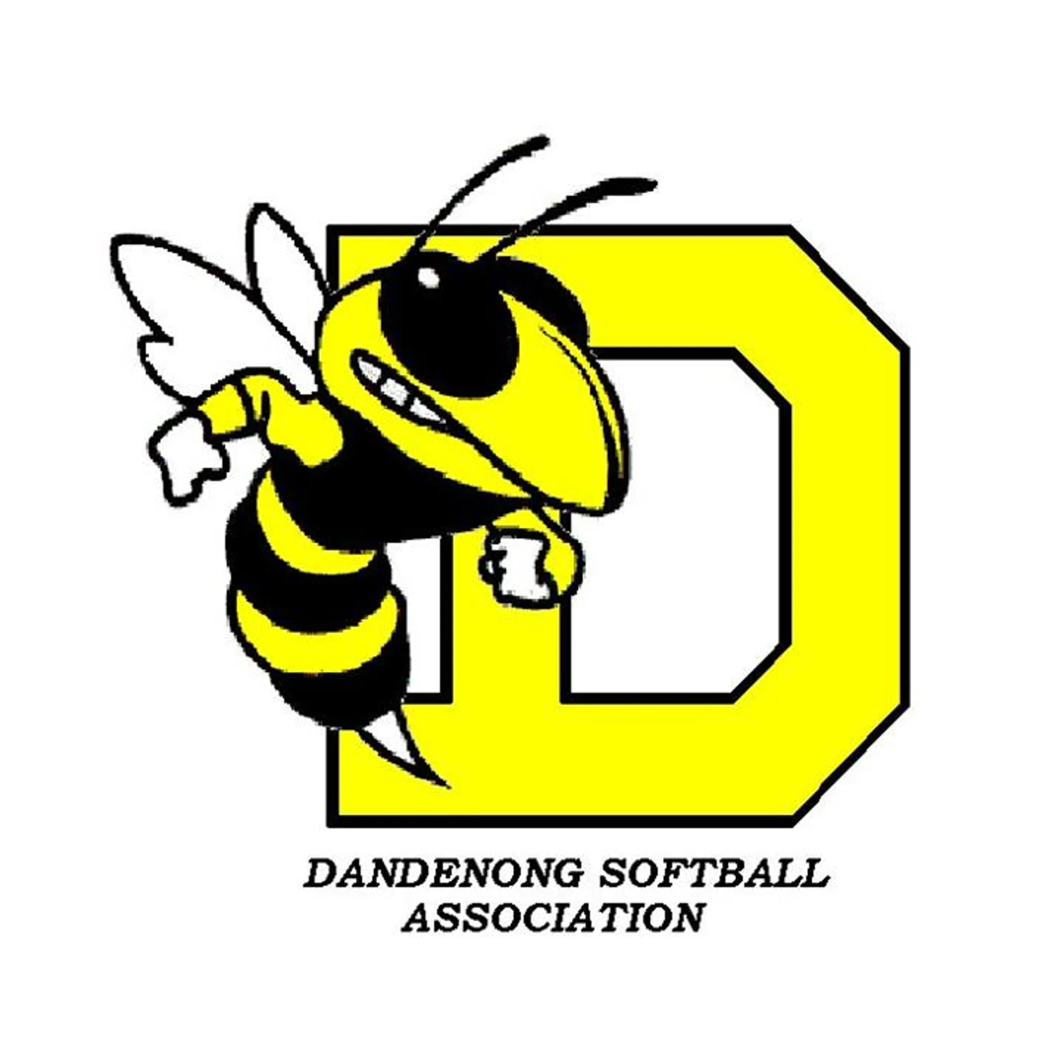 Dandenong Softball Association