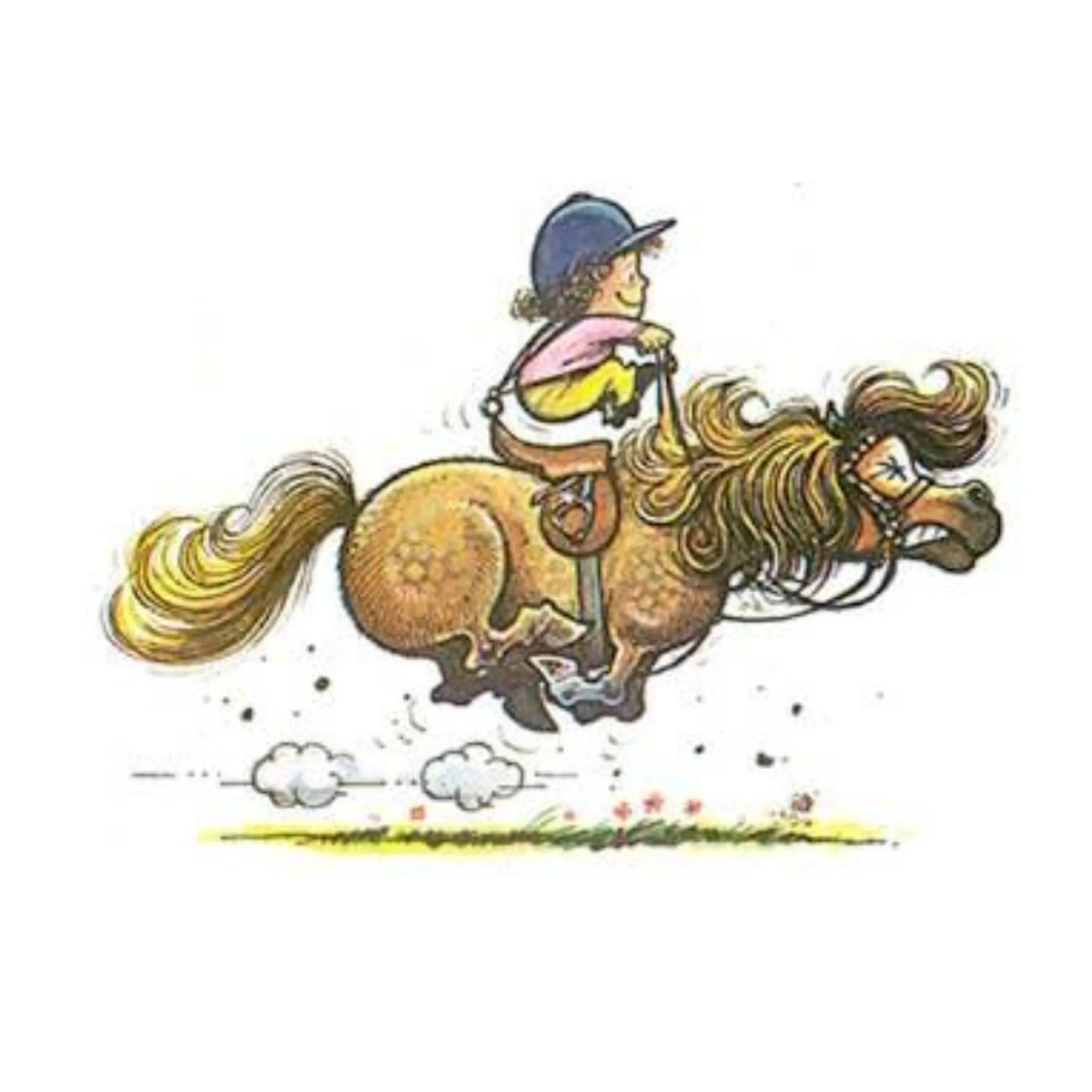 Neerim District Pony Club Inc