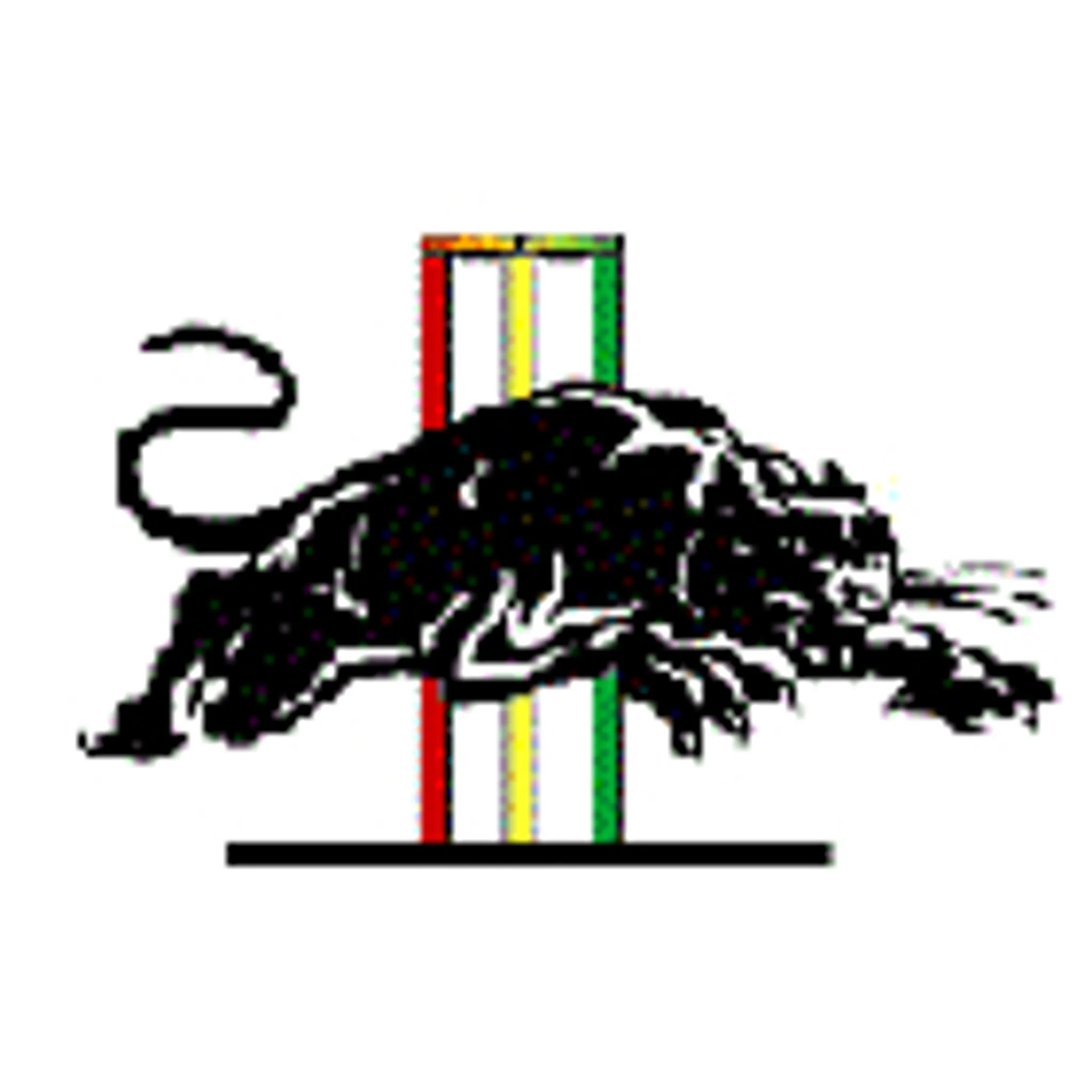 Penrith Junior Cricket Association Inc. 