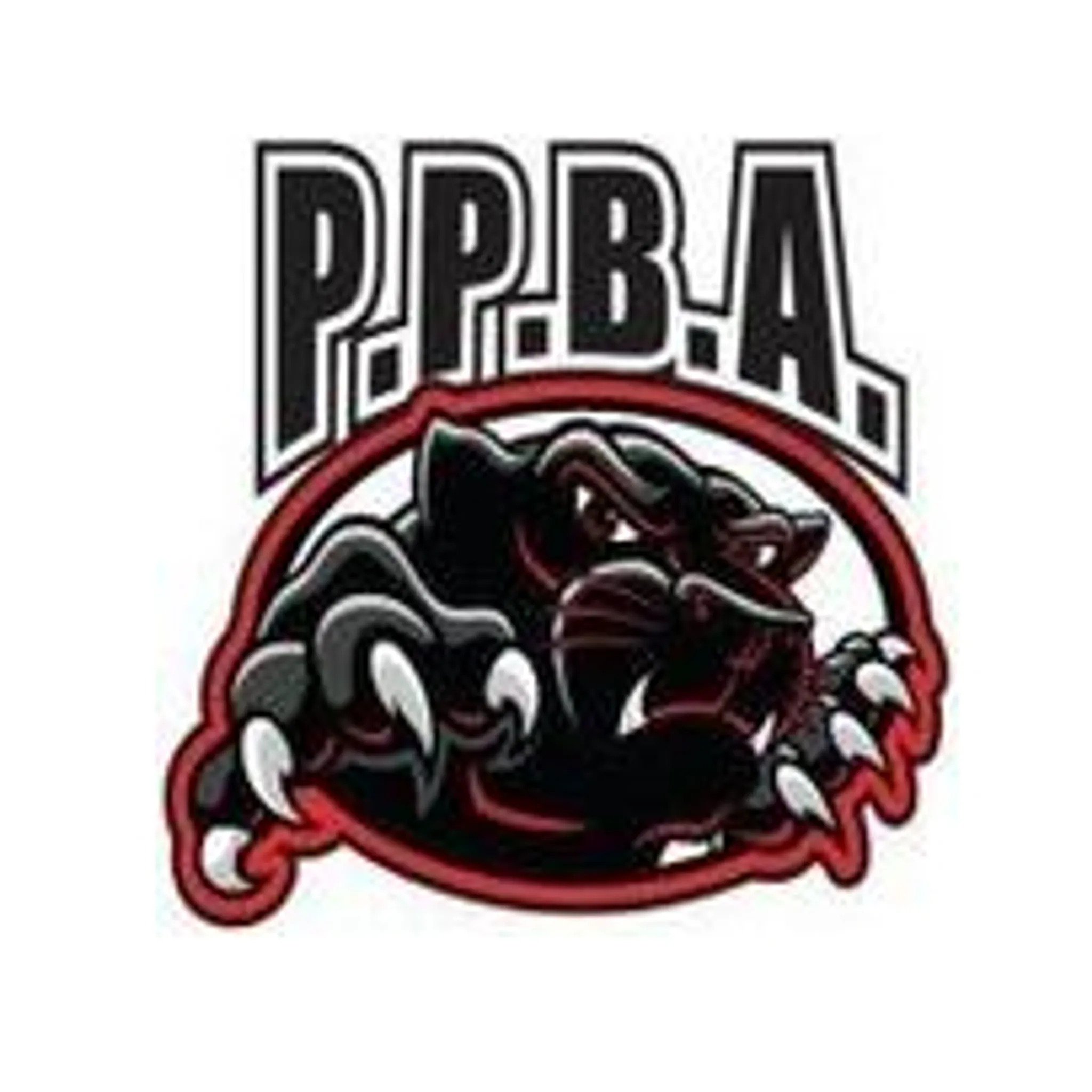 Port Pirie Basketball Association