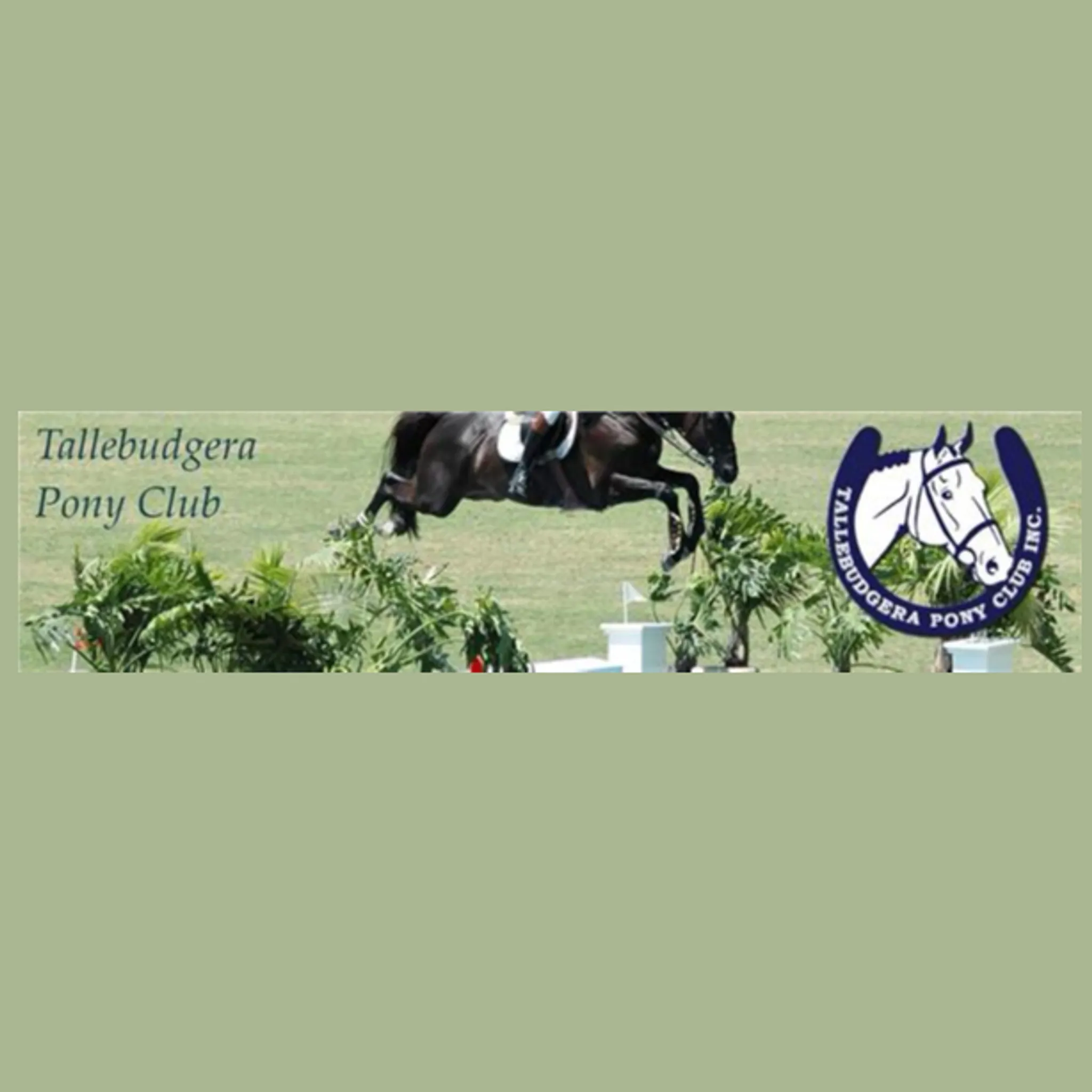 Tallebudgera Pony Club