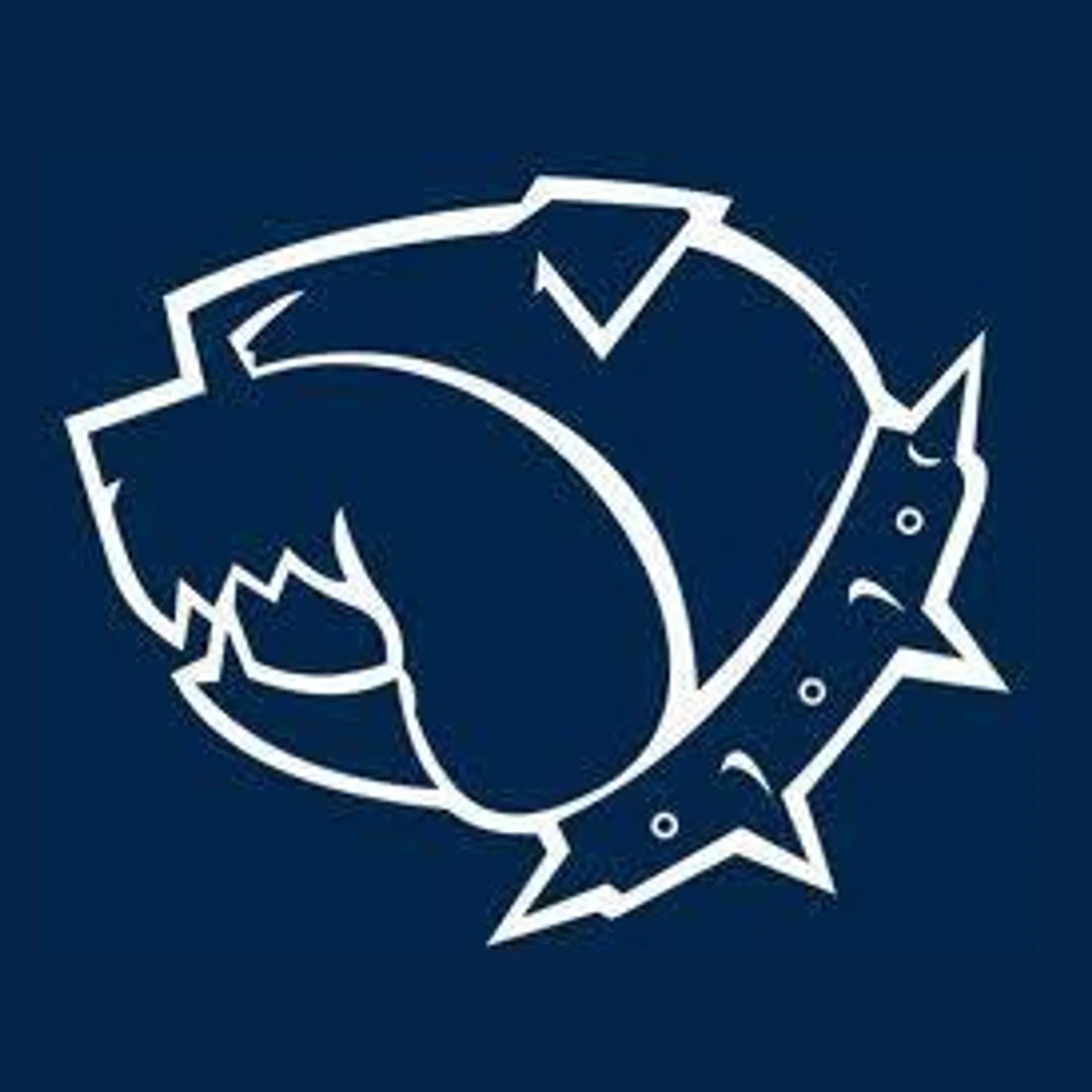 Highett Football Netball Club