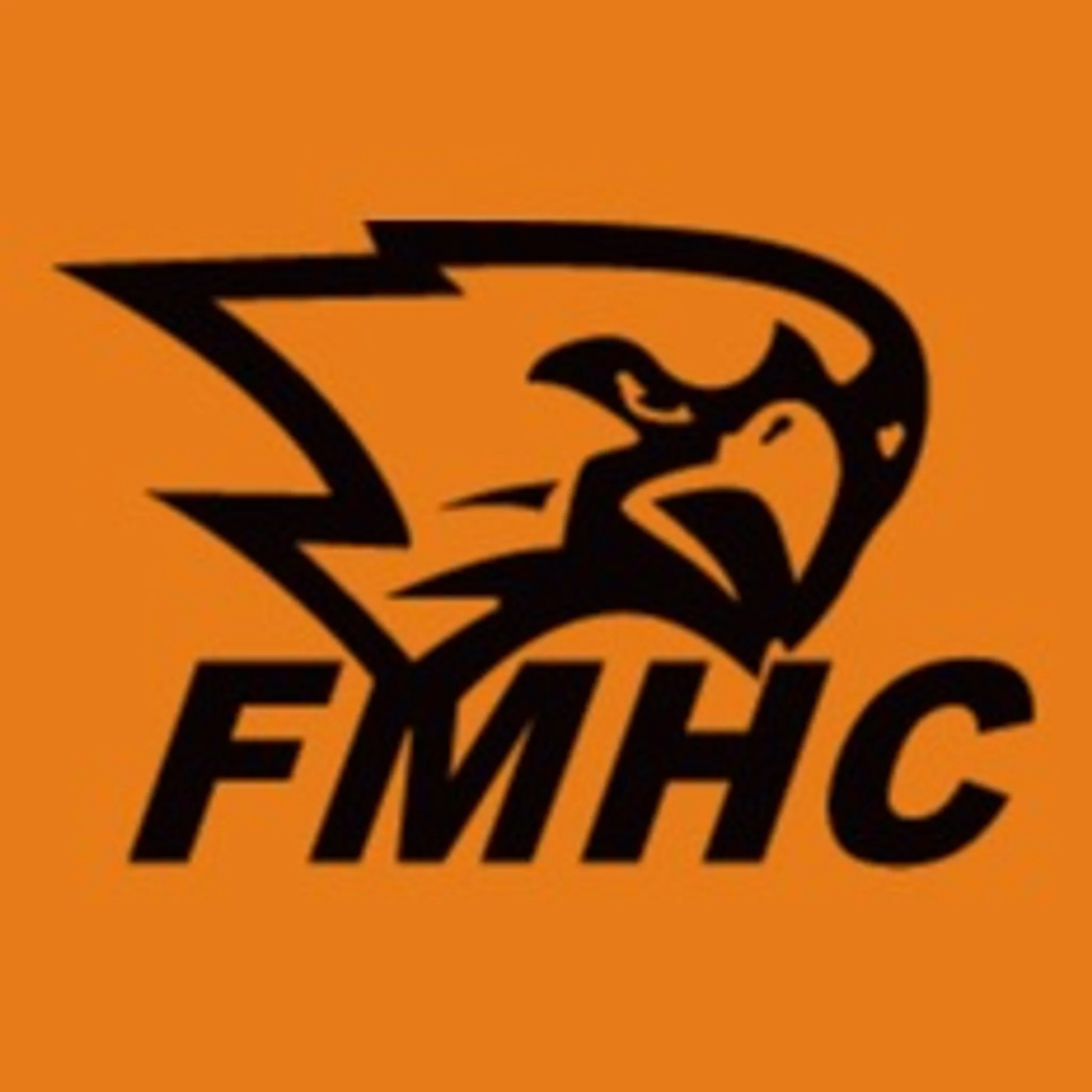 Fairy Meadow Hockey Club