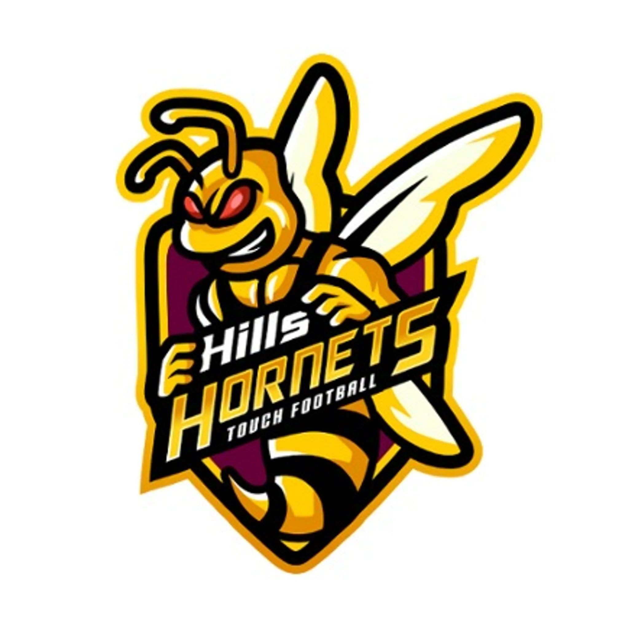 Hills Hornets Touch Association