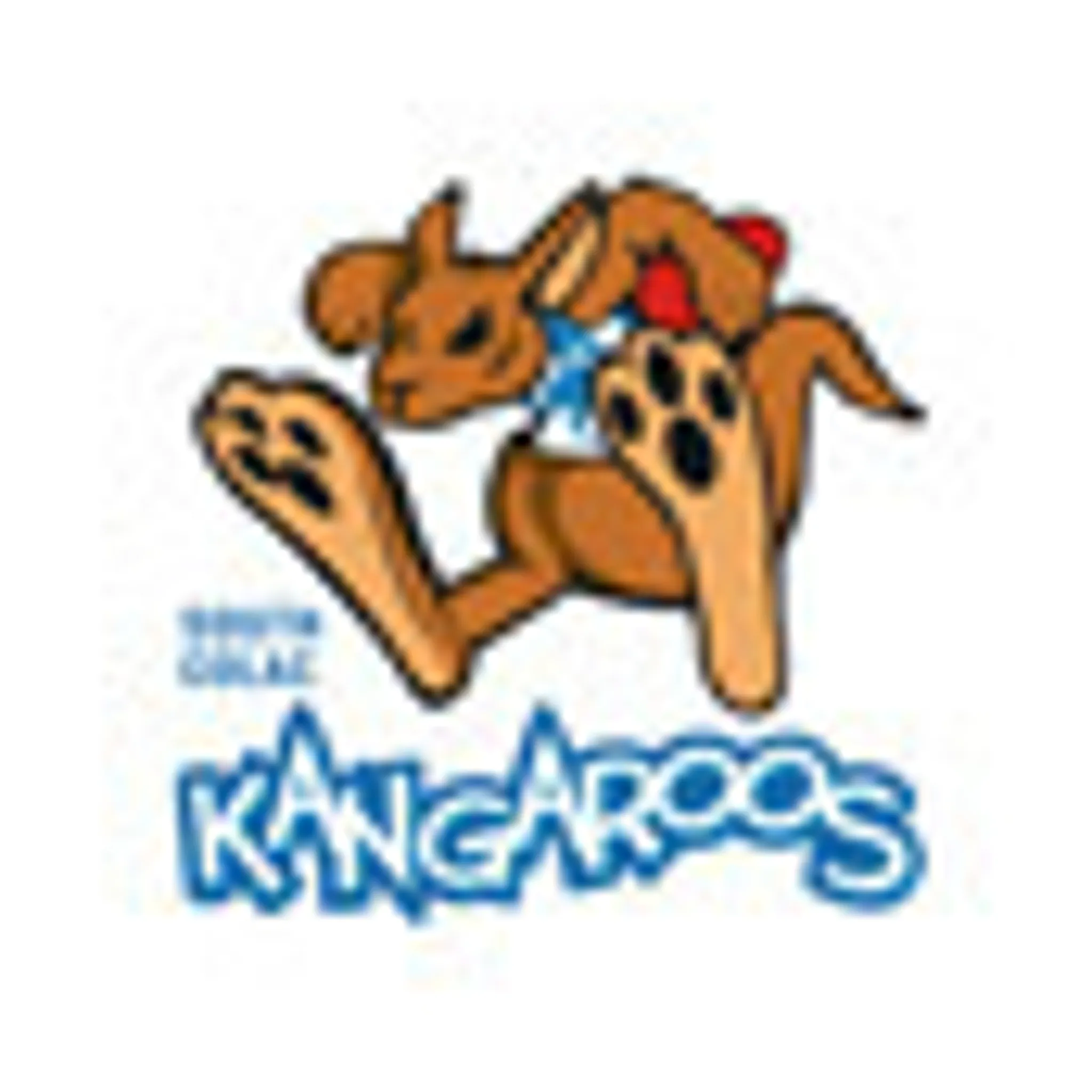 South Colac Football Netball Club