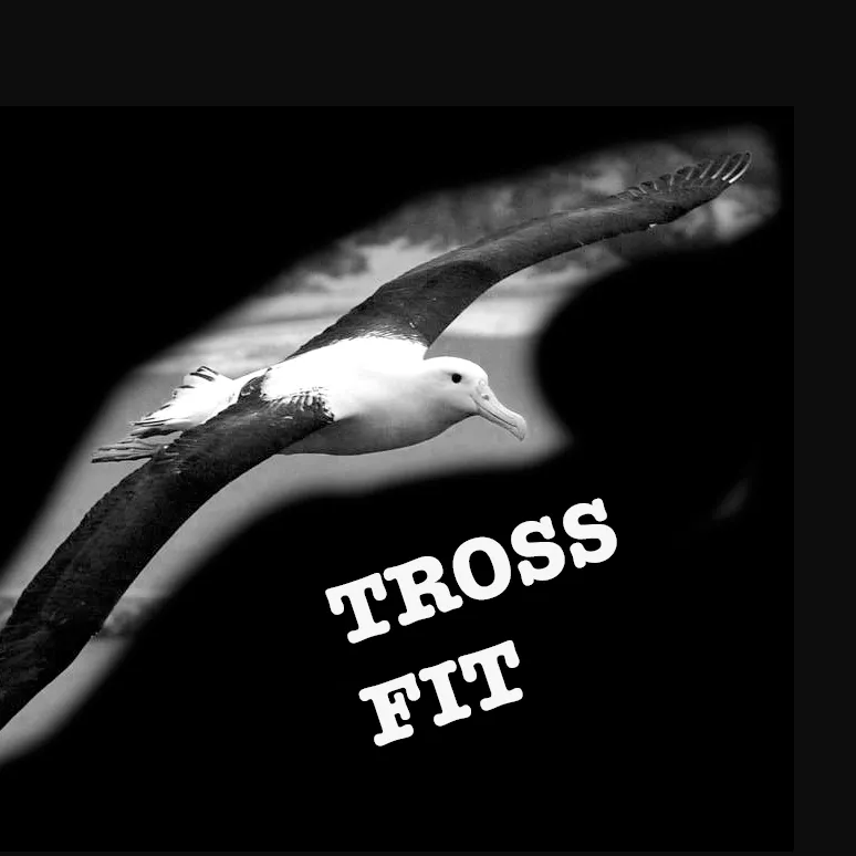 Tross Fit Test
