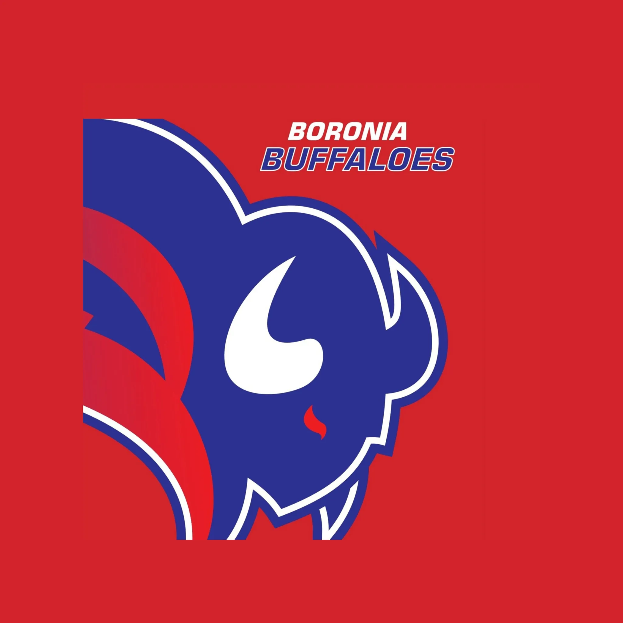 Boronia Buffaloes Basketball Club
