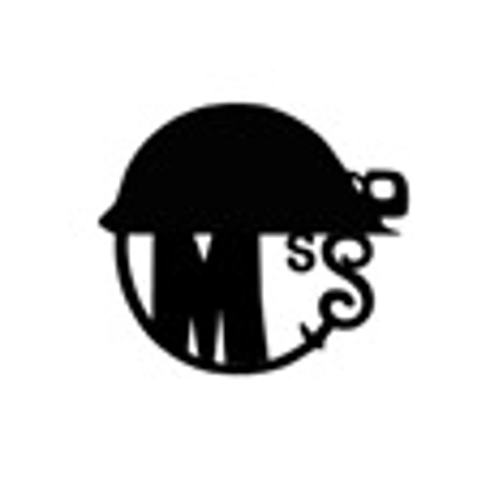  Metropolitan Speleological Society