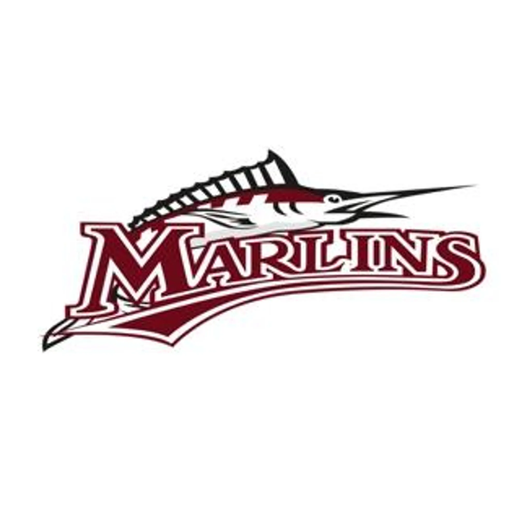 North Metro Basketball Club